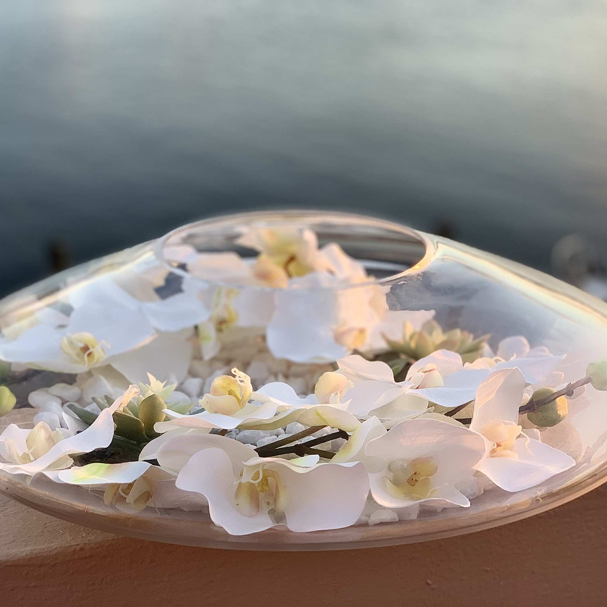 Silk orchids with stones and succulents in clear vase. Custom made. Beautiful