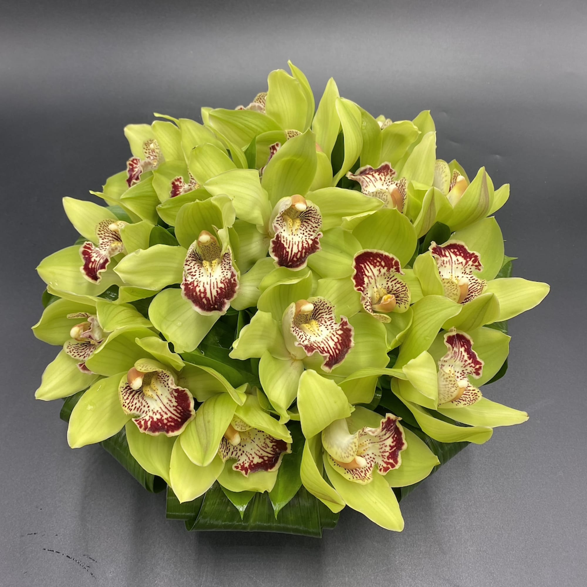 Round bouquet of lime green orchids with burgundy centers