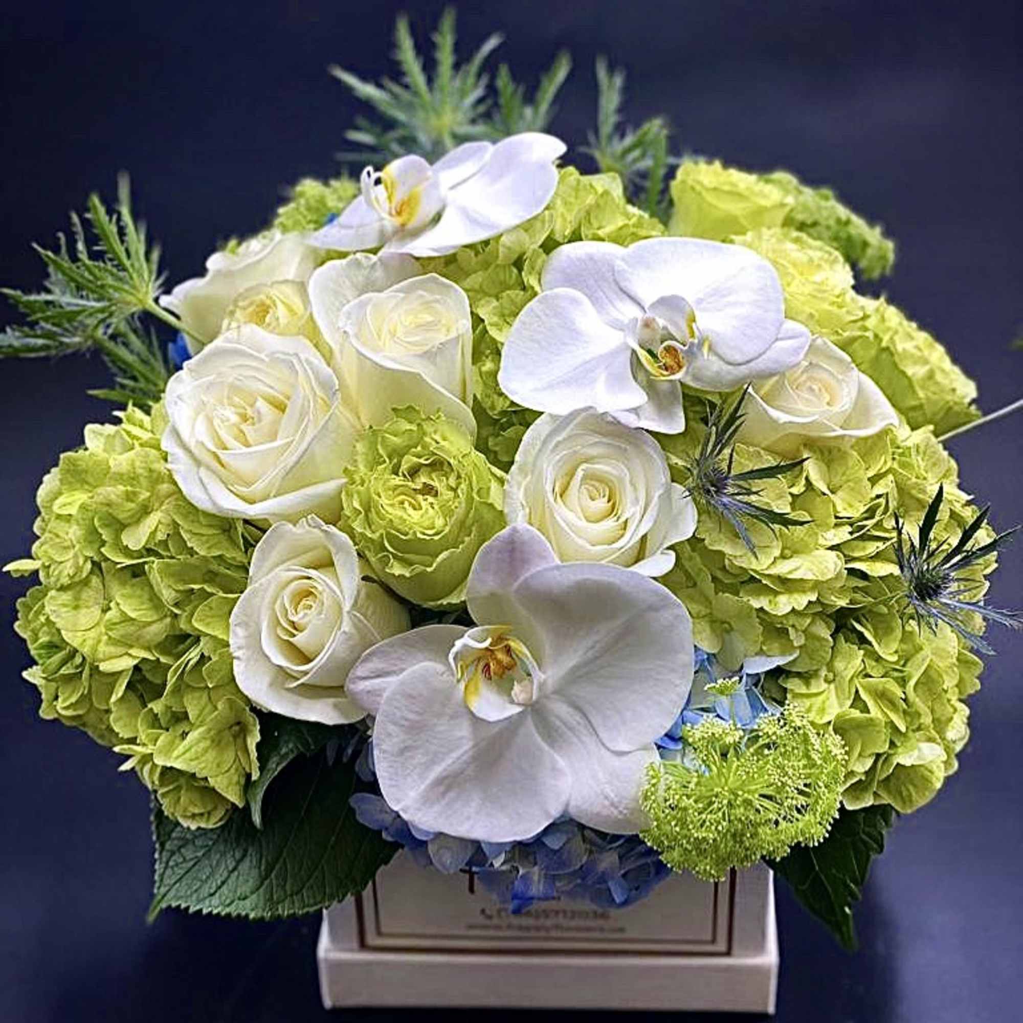 White roses and orchids arranged with lime hydrangeas in a box