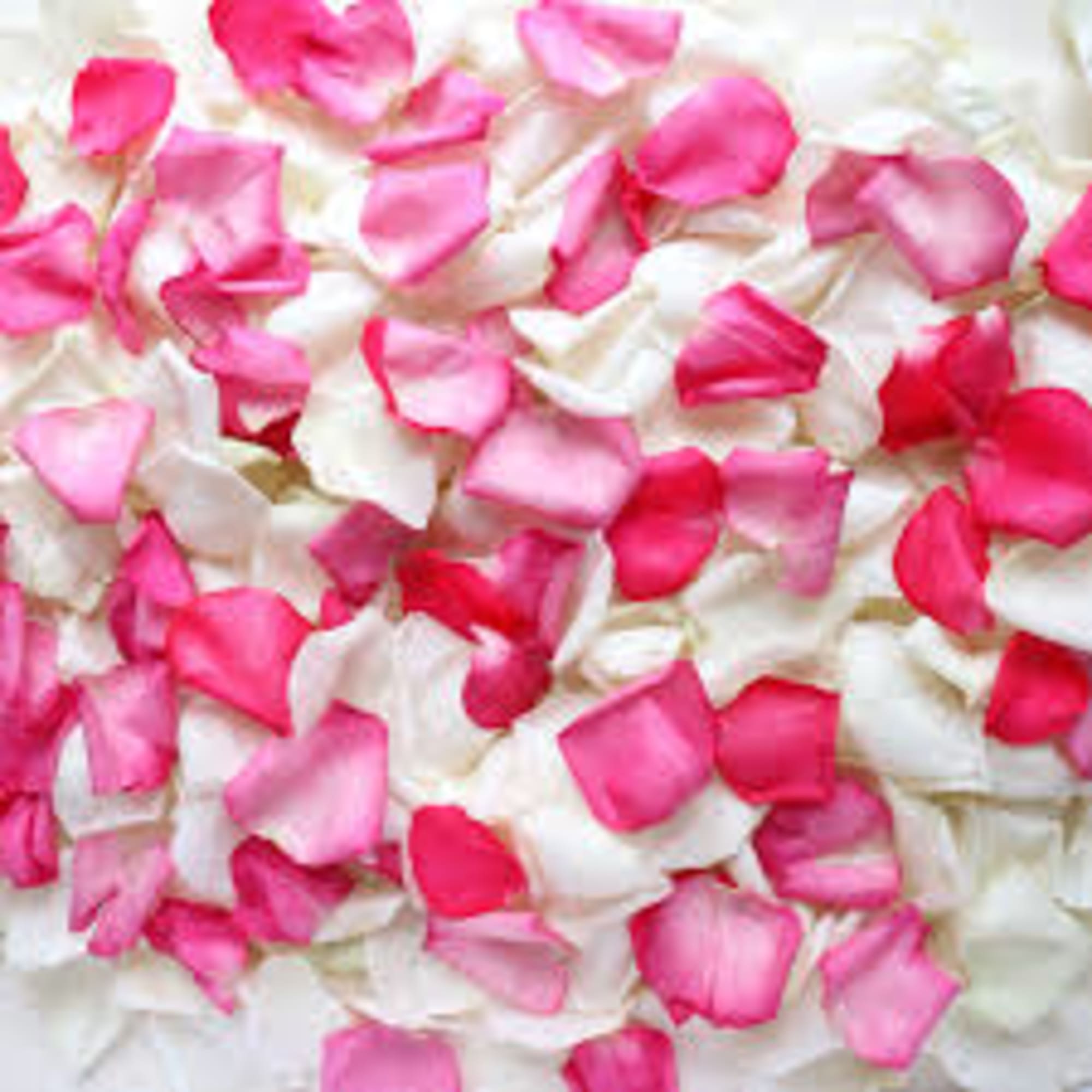Fresh rose petals can be in different colors., photo 3 of 3