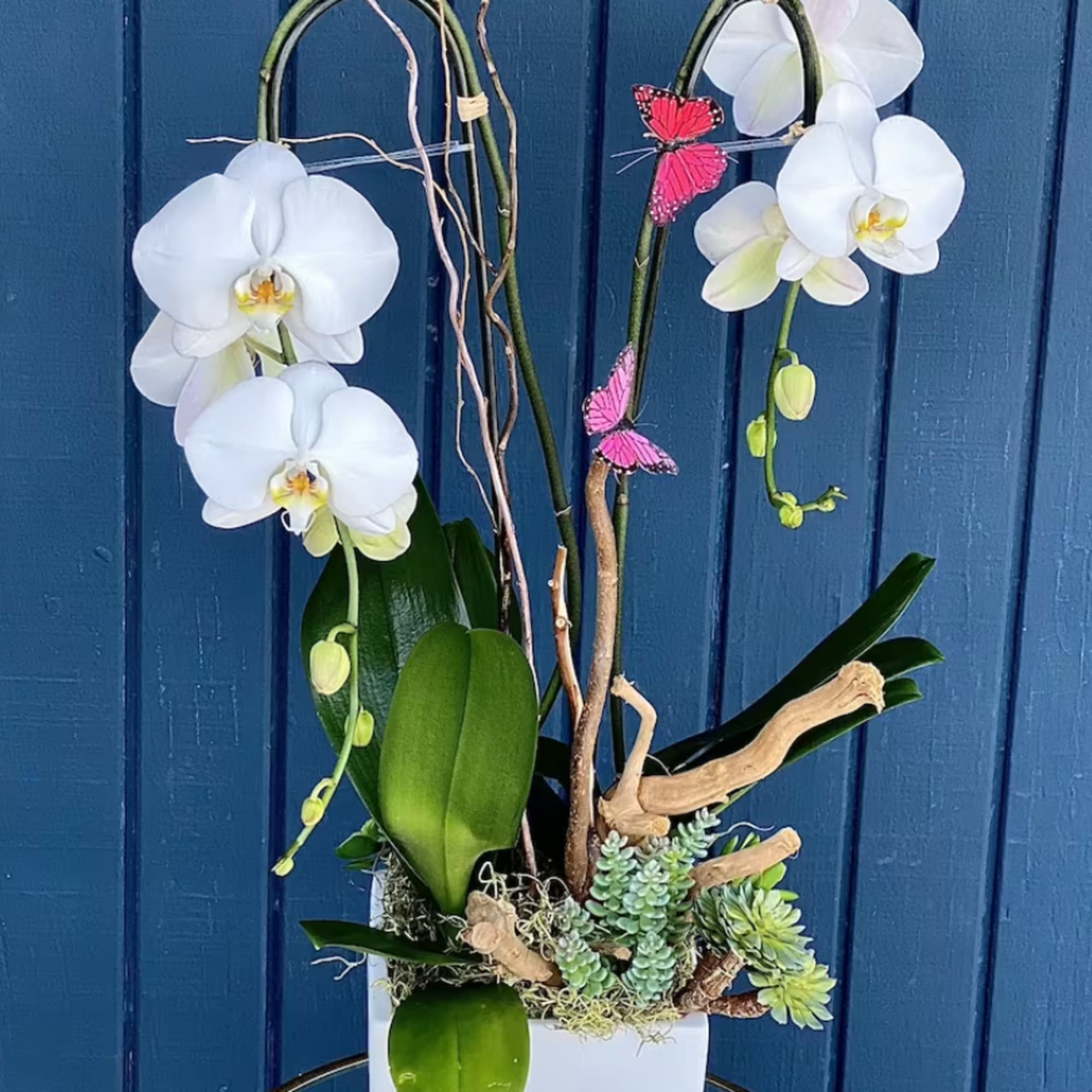 Blooming orchids in a vase with sakulents , moss, driftwoods or other, photo 2 of 2