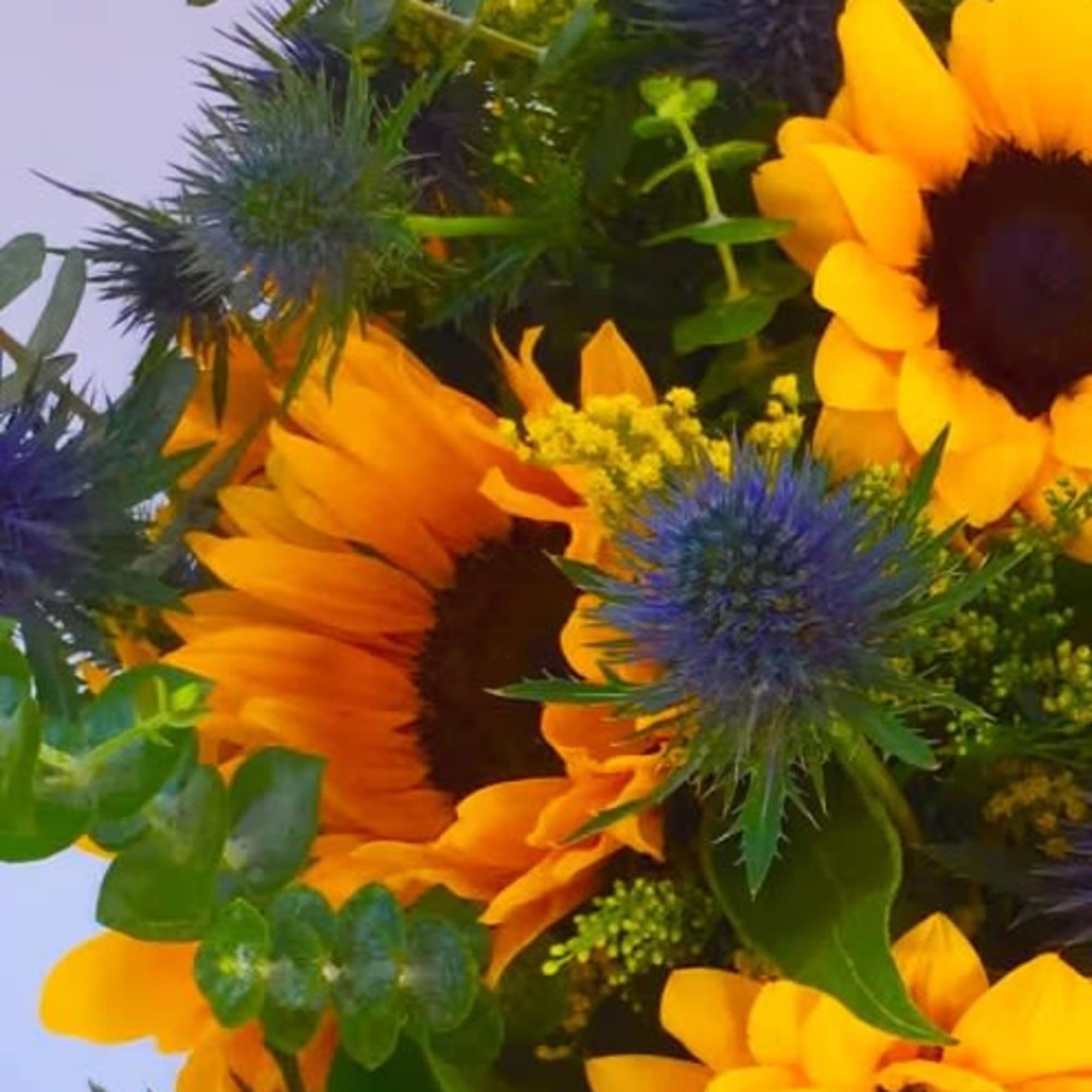 Bouquet of sunflowers and blue thistle flowers