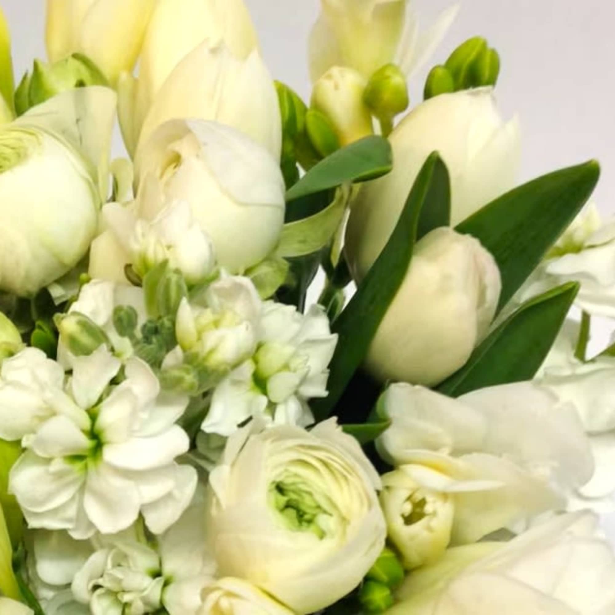 White bouquet with tulips, ranunculus, and small white blooms
