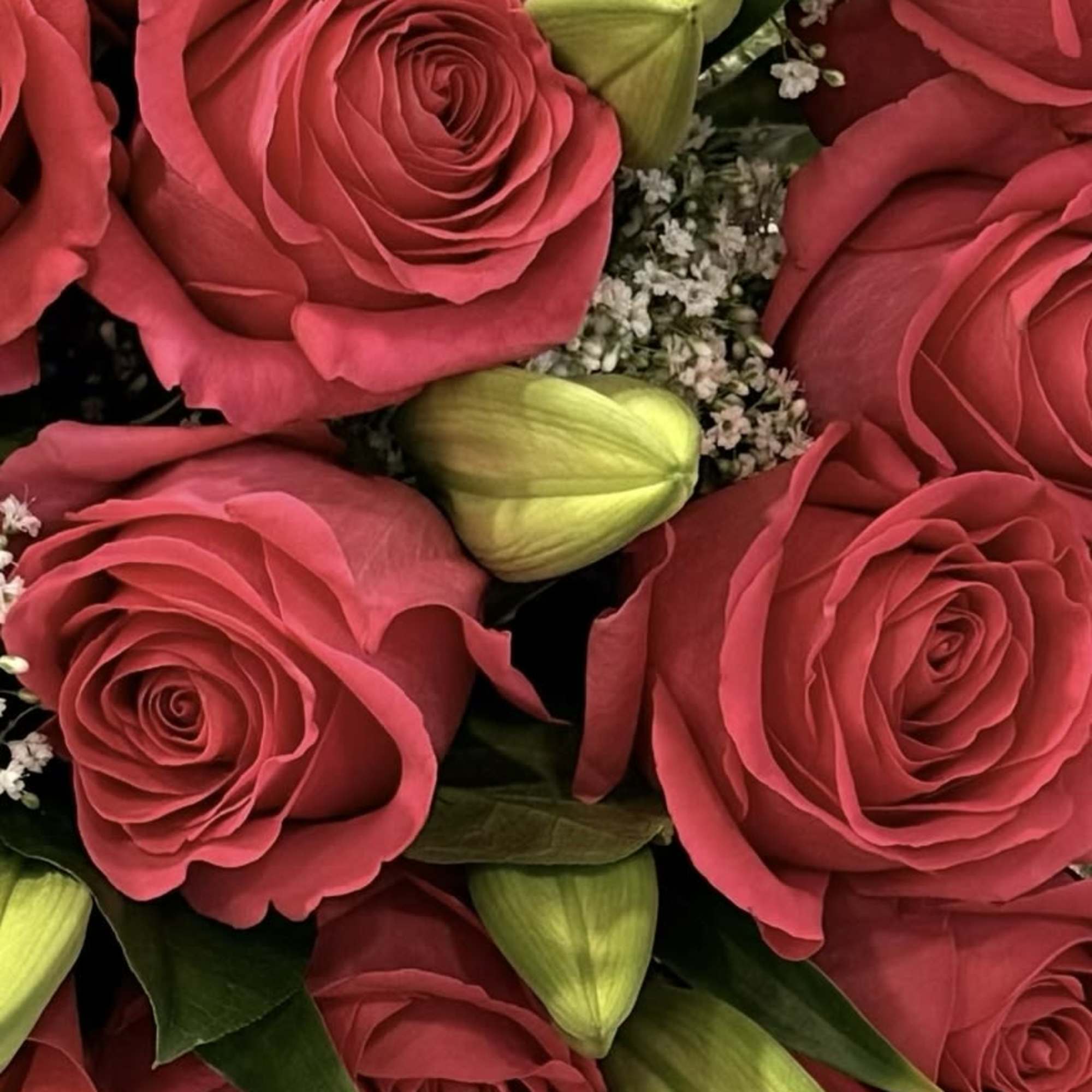 Close-up bouquet of pink roses with unopened lily buds