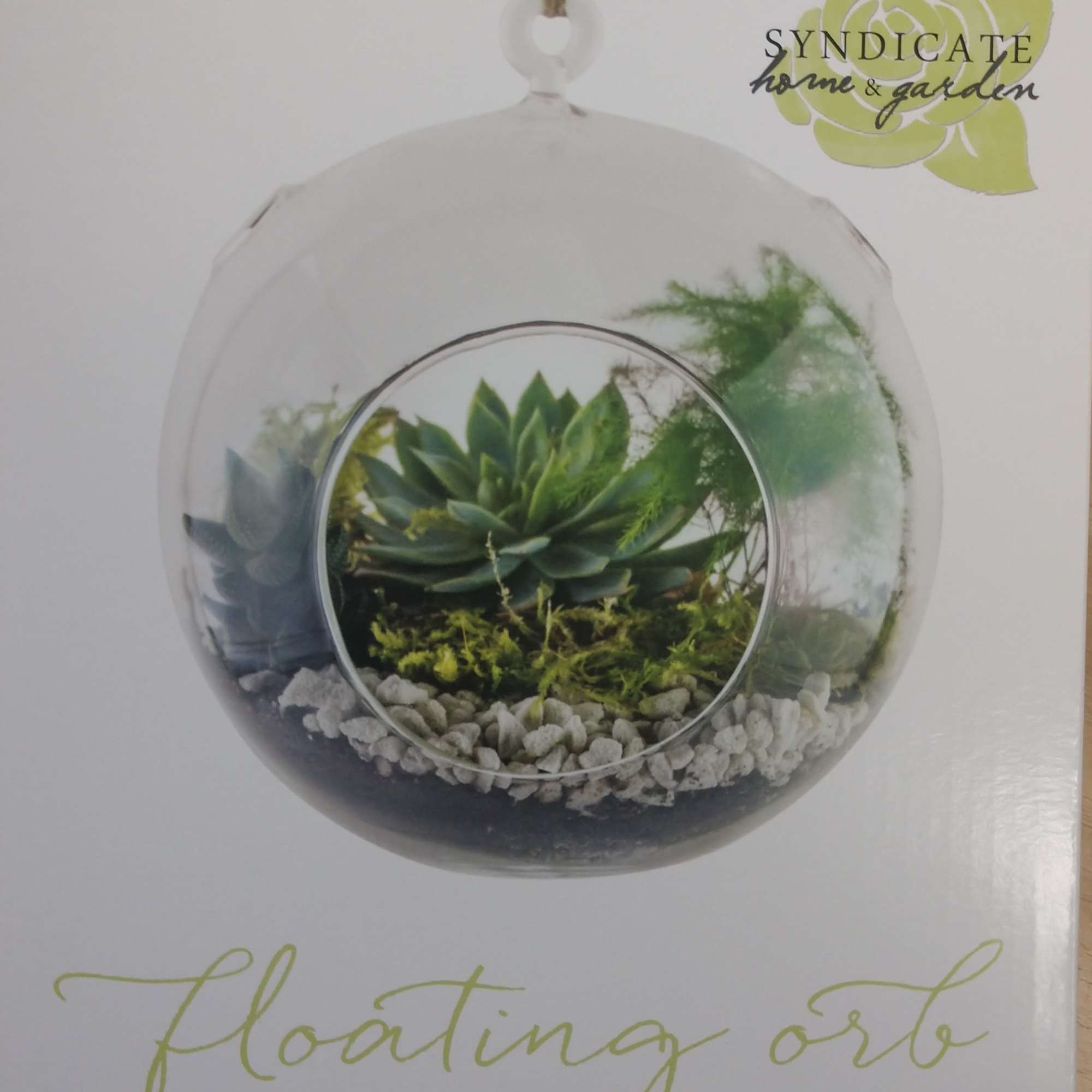 Hanging glass orb terrarium kit with succulents and pebbles
