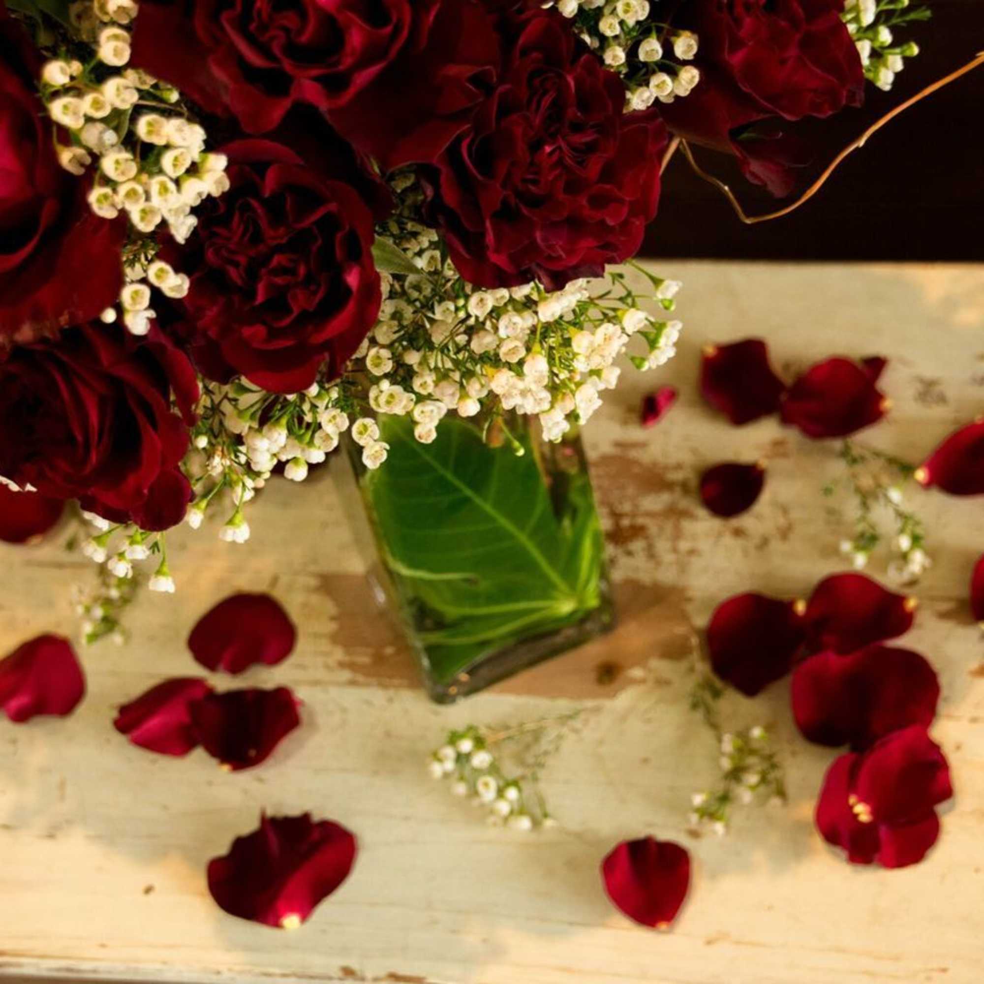 Red roses in a glass vase with white filler flowers and scattered petals