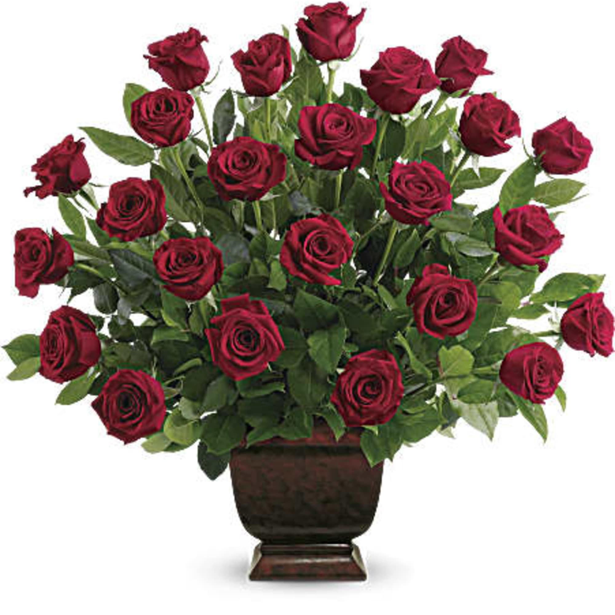 Red roses arranged in a dark urn vase