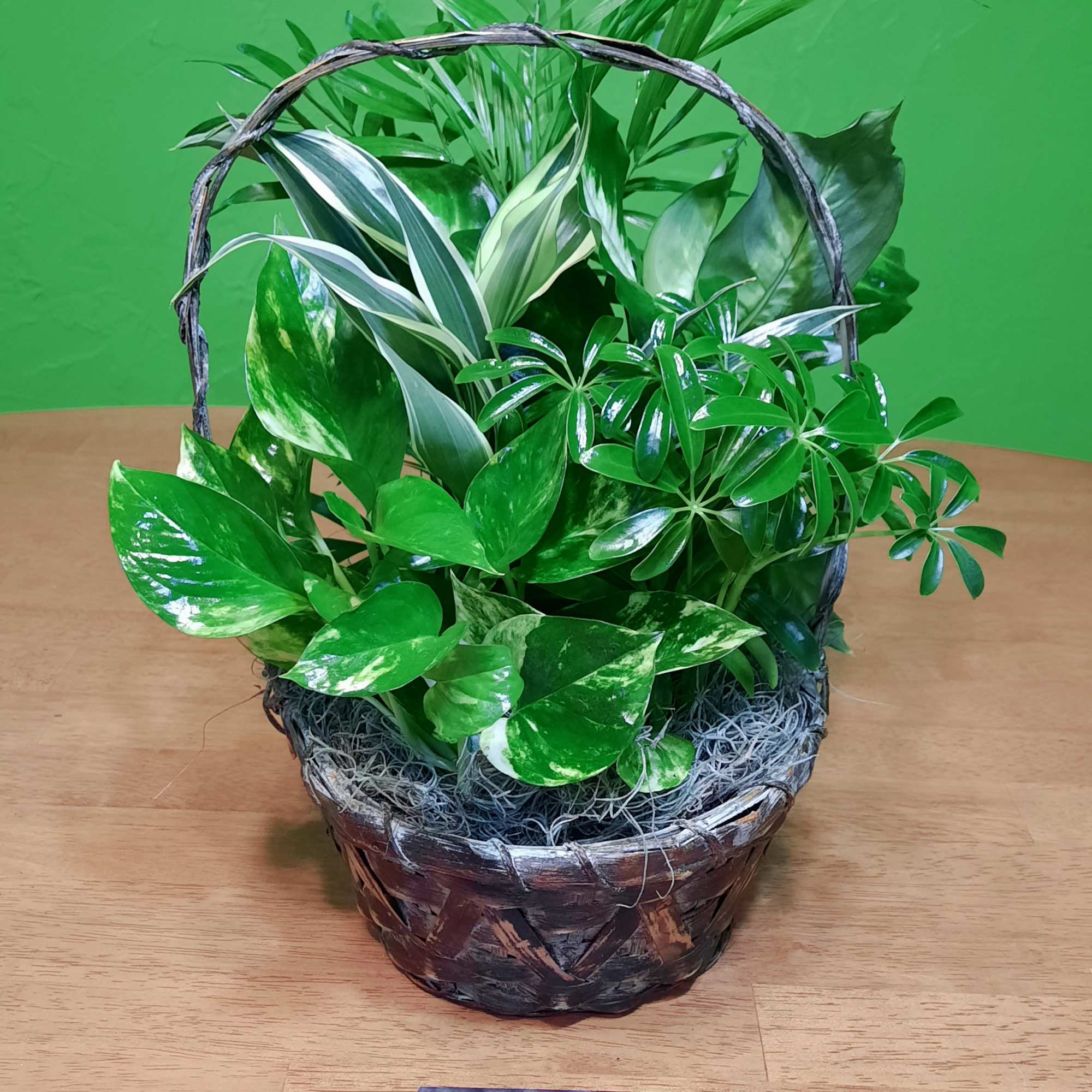 Basket of assorted green houseplants on a wooden table