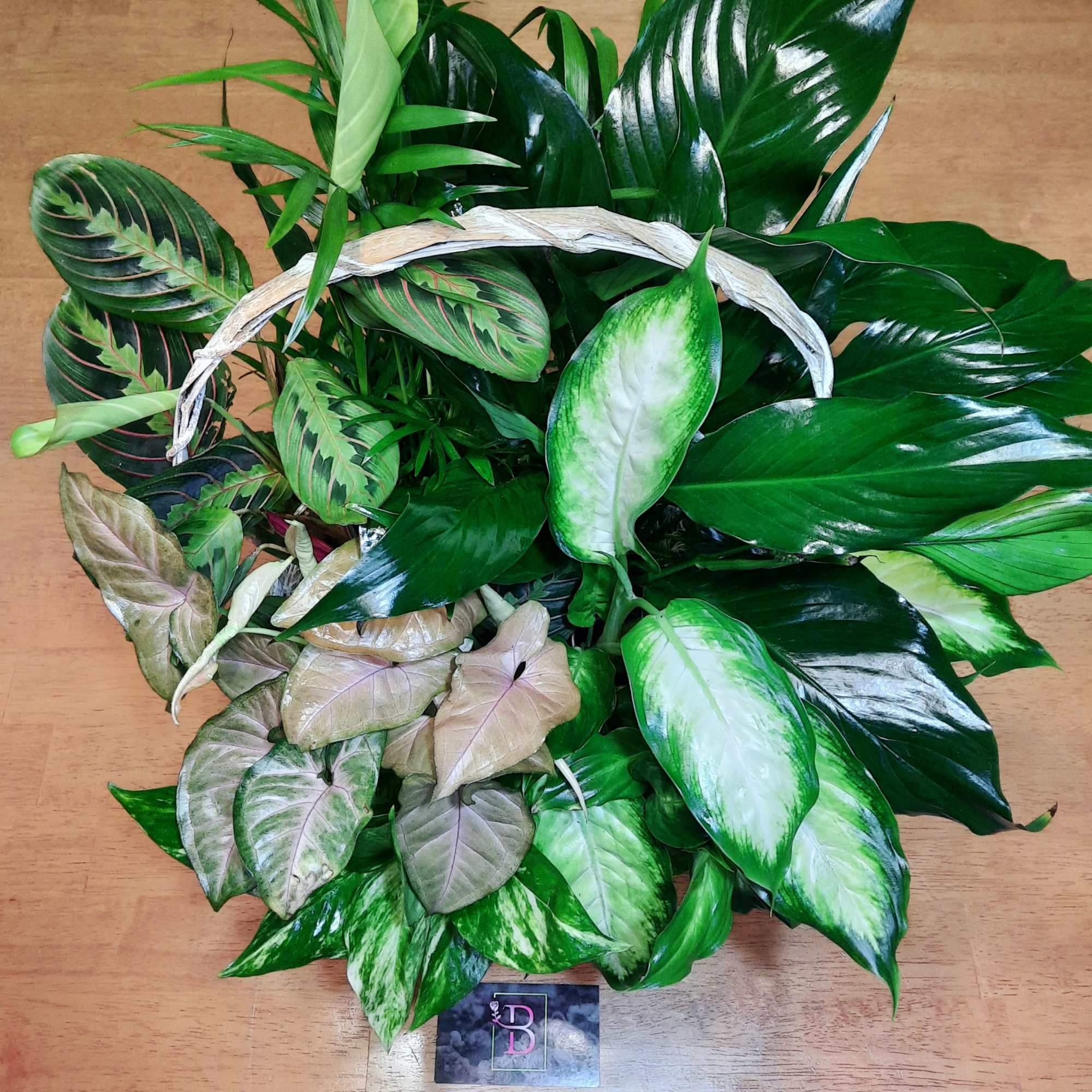 Basket of assorted green foliage and variegated leaves