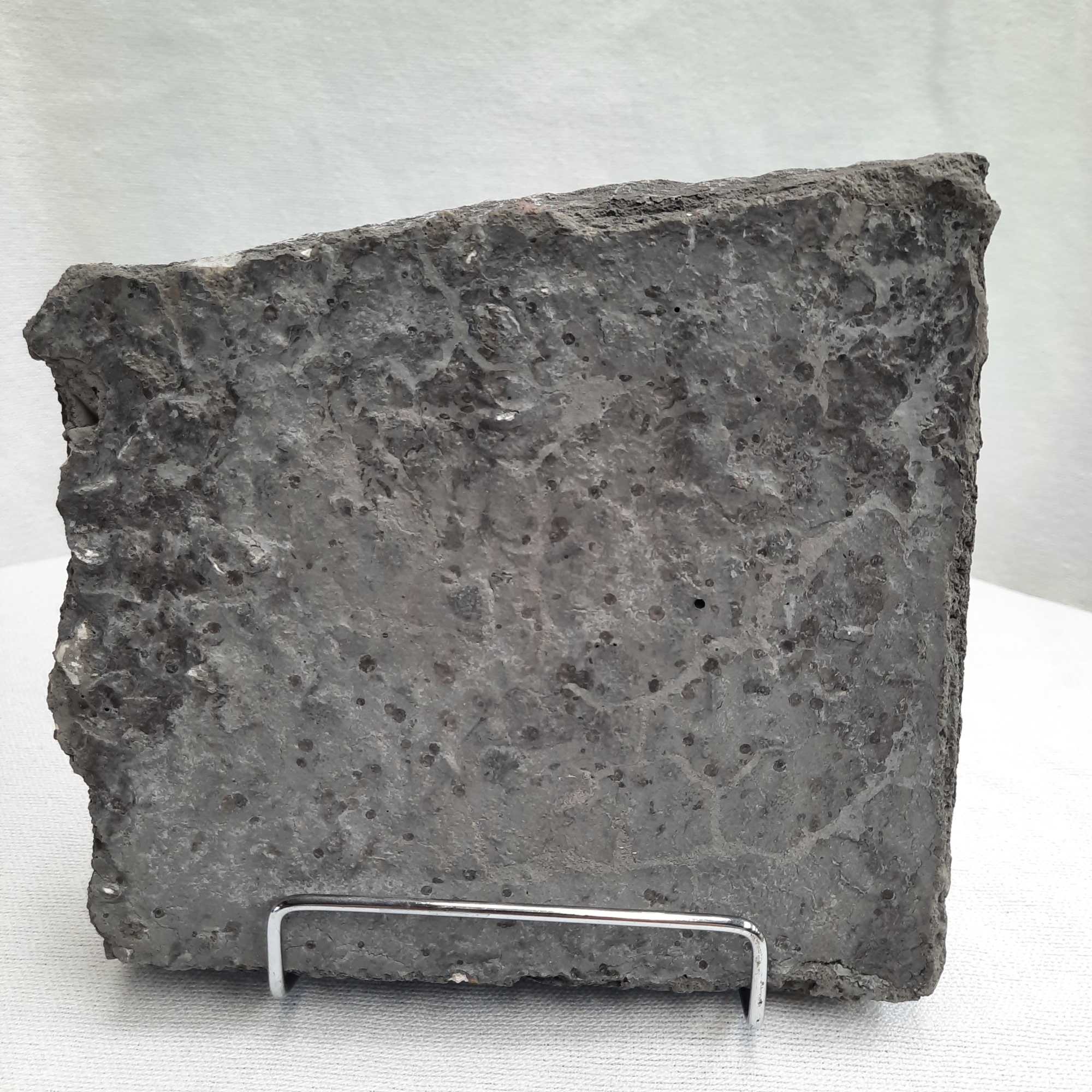 Rough gray stone slab on a display stand