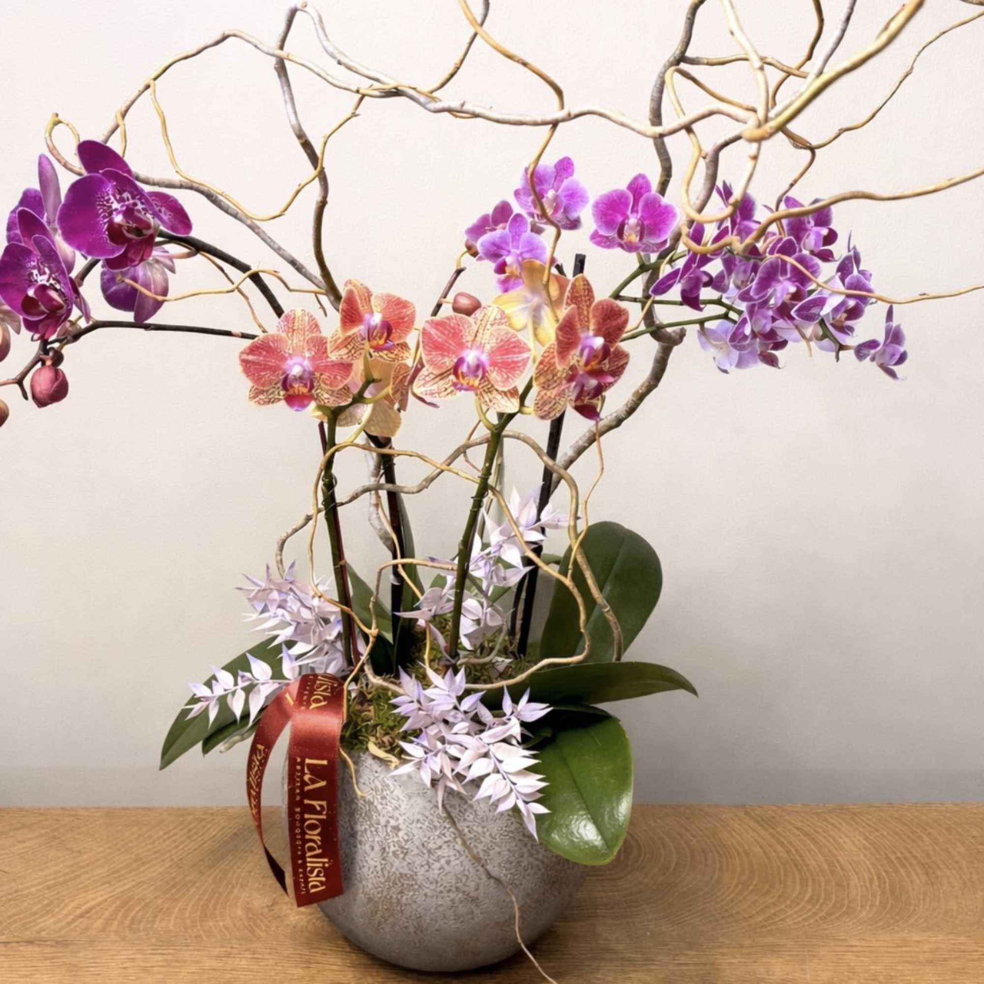 Orchid arrangement in a gray pot with twisting branches