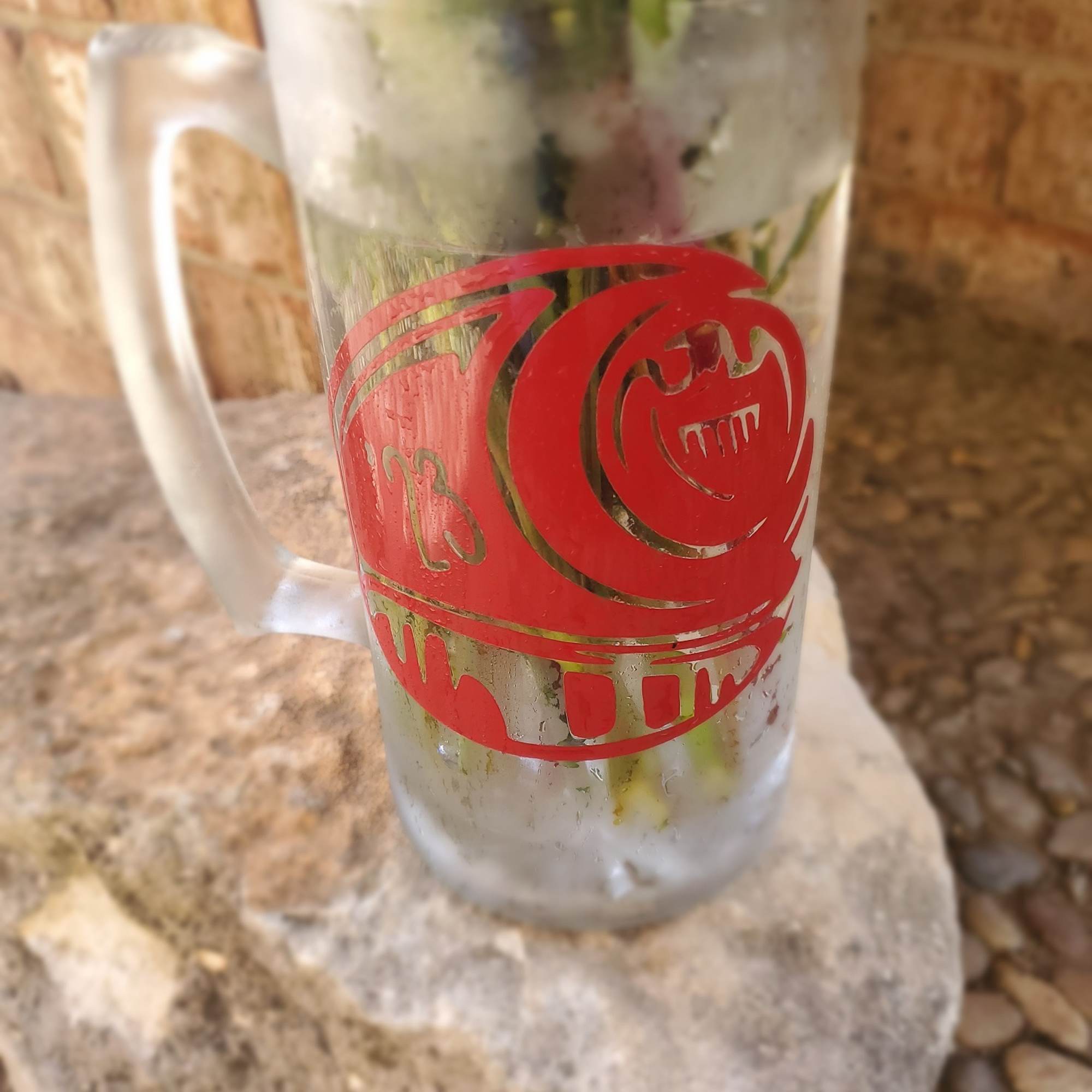 Clear glass mug with a red graphic, holding flowers