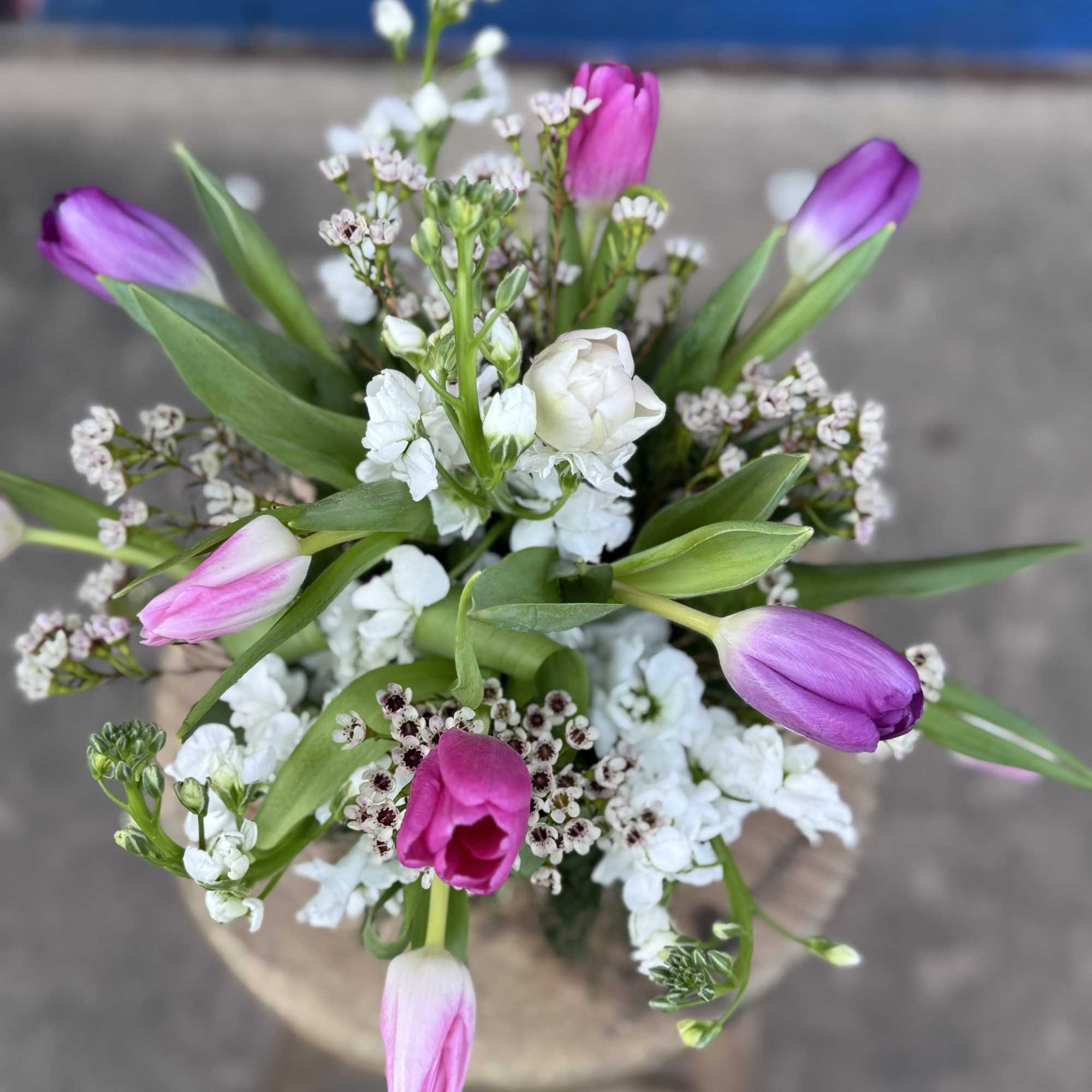 Bouquet of pink and purple tulips with white filler flowers