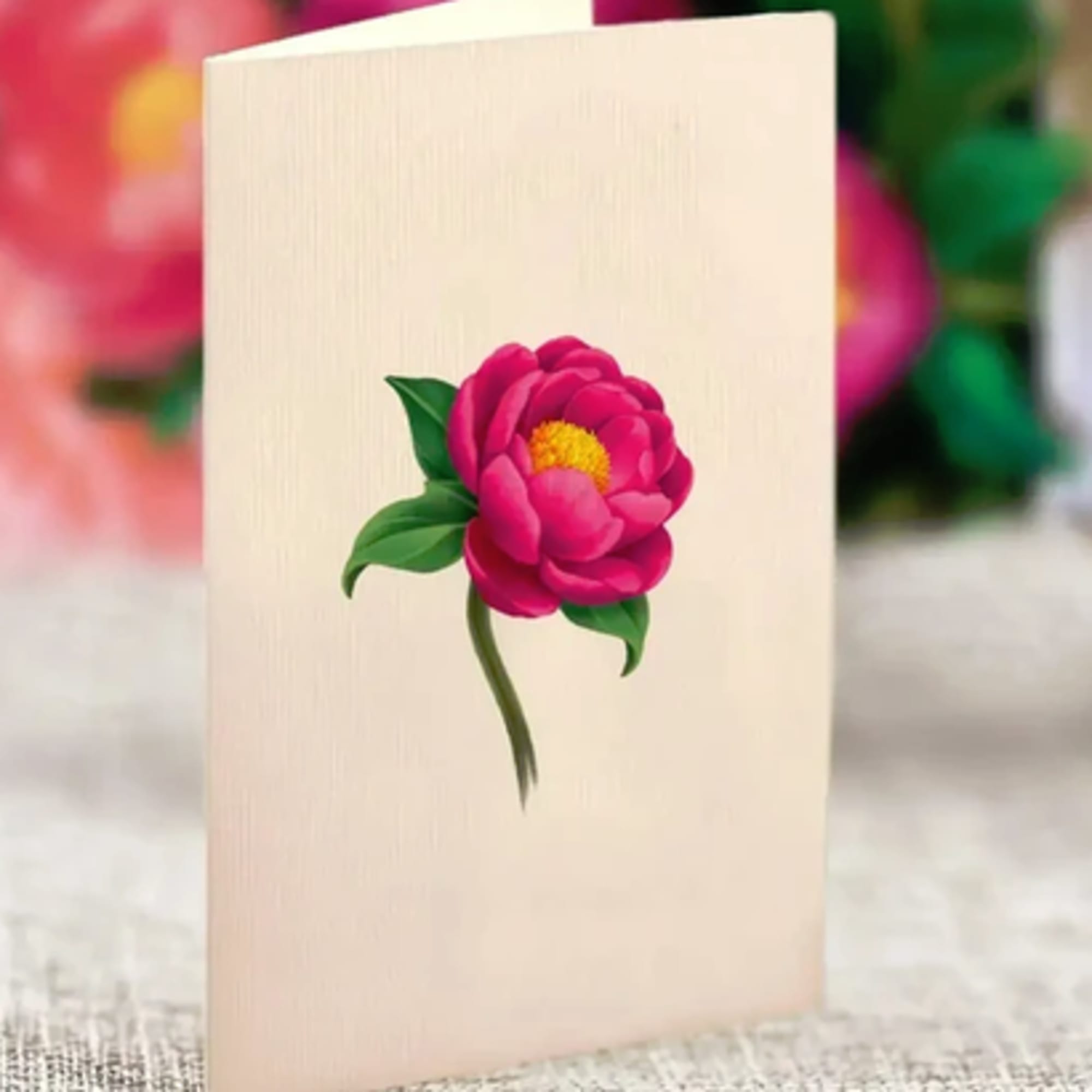 Pink flower on a folded cream card