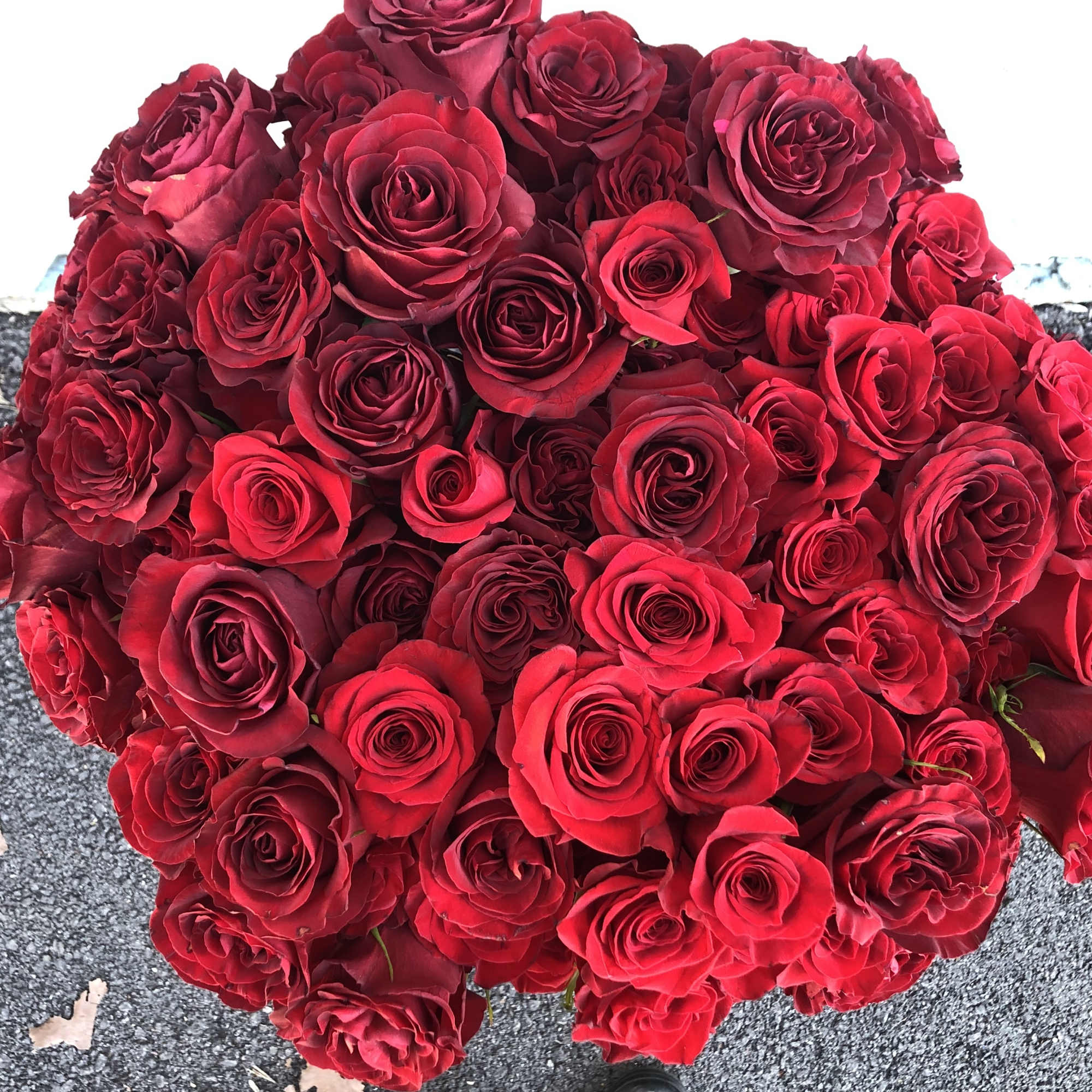 Large bouquet of red roses