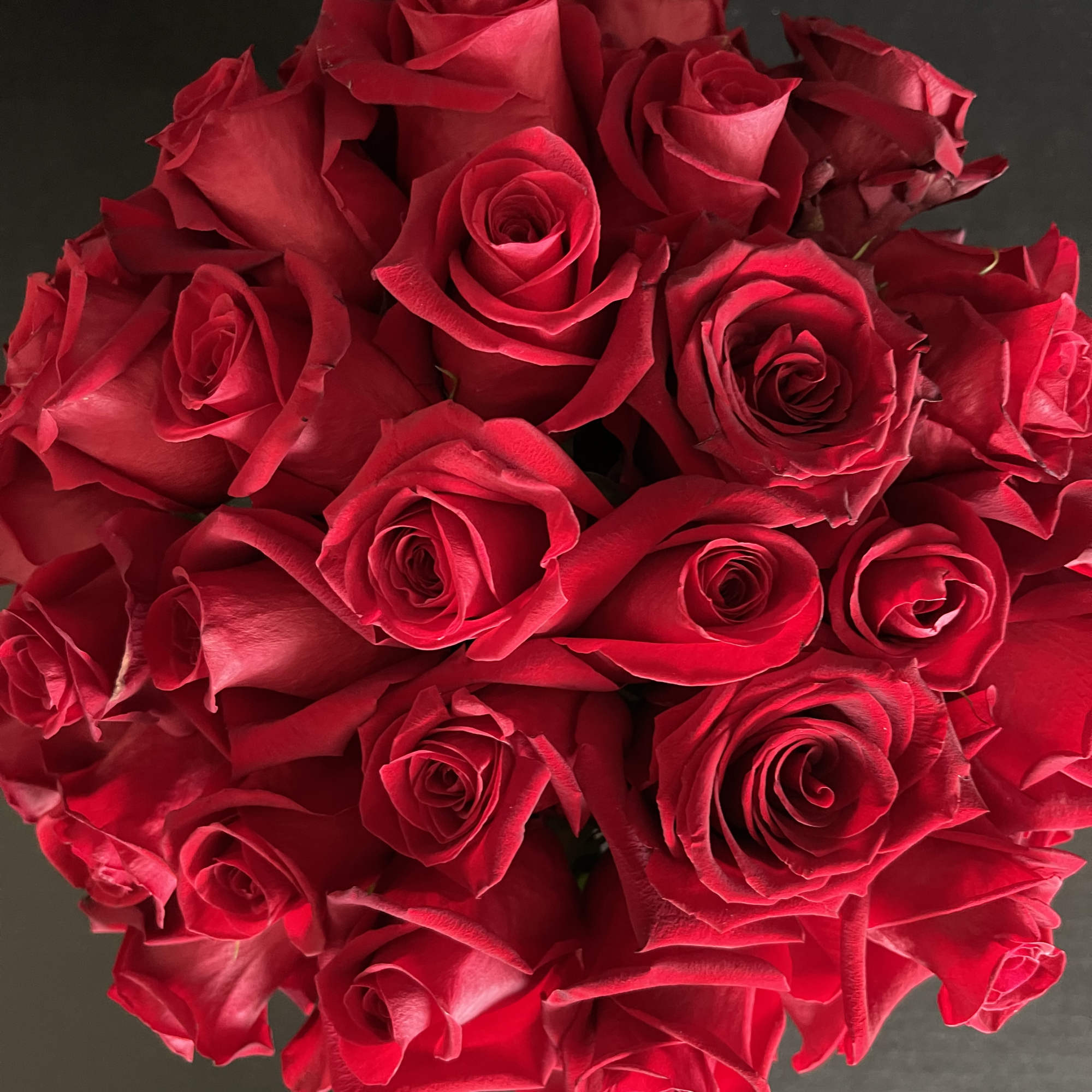 A tight bouquet of red roses on a dark background