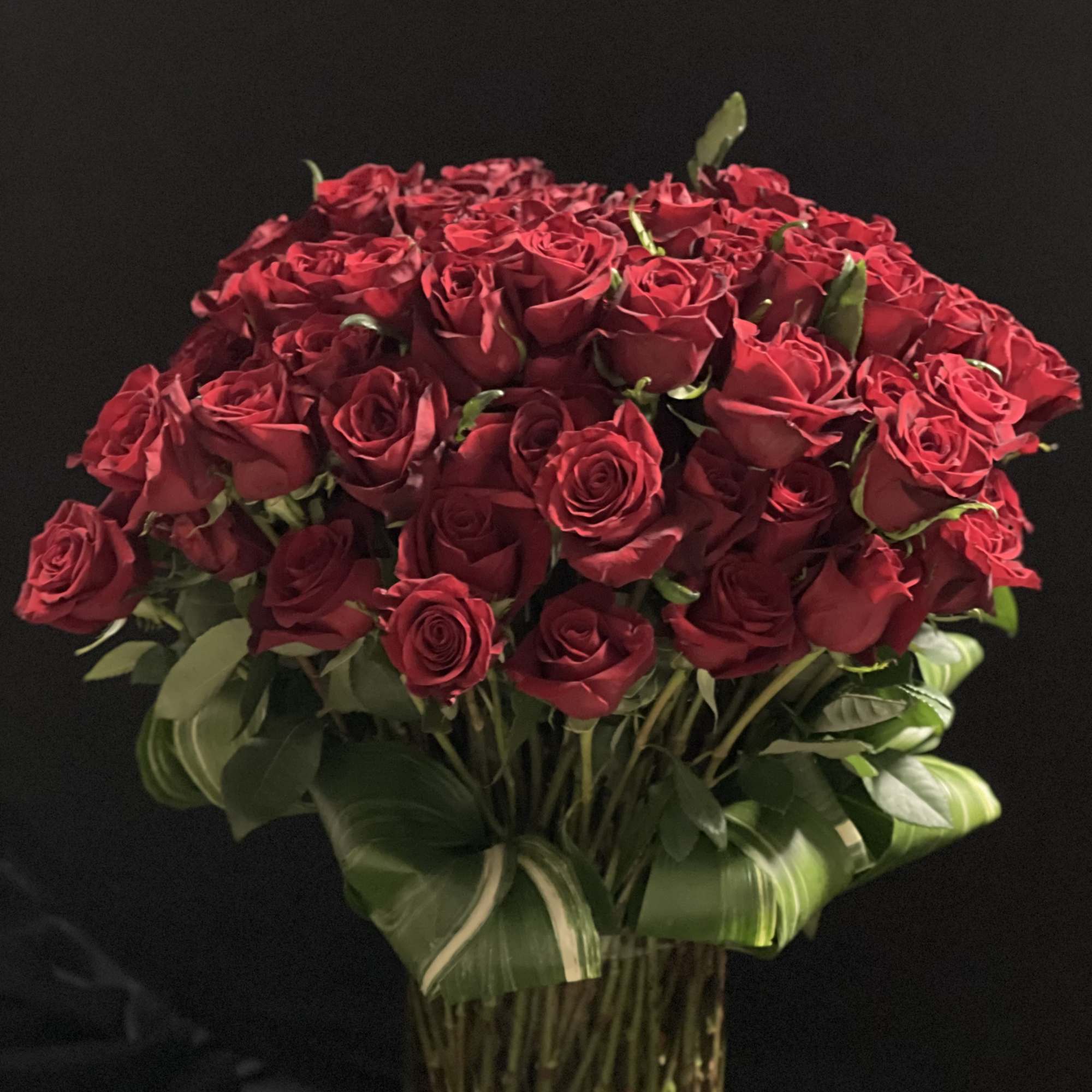 Large bouquet of red roses with broad green leaves