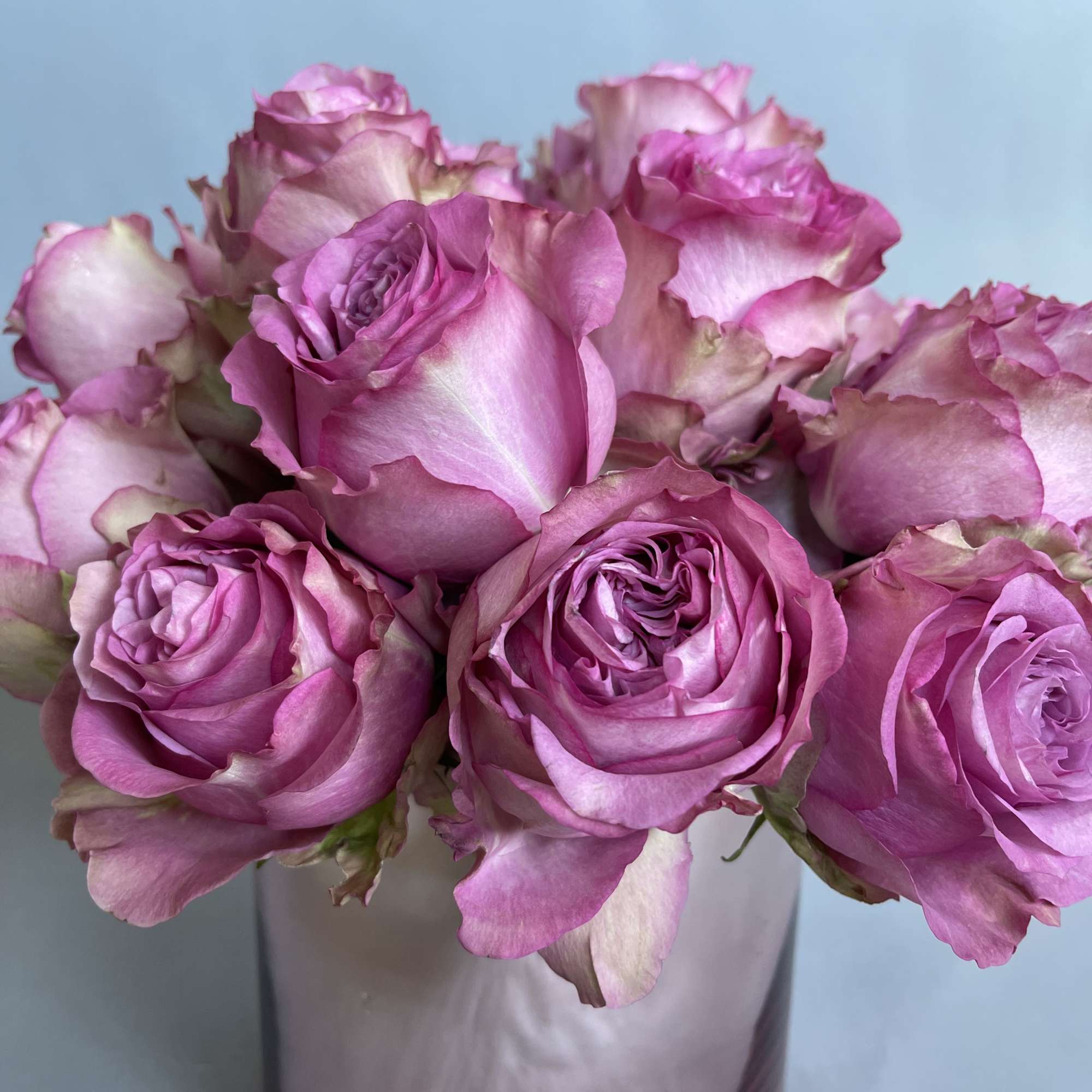 Pink roses arranged in a clear glass vase