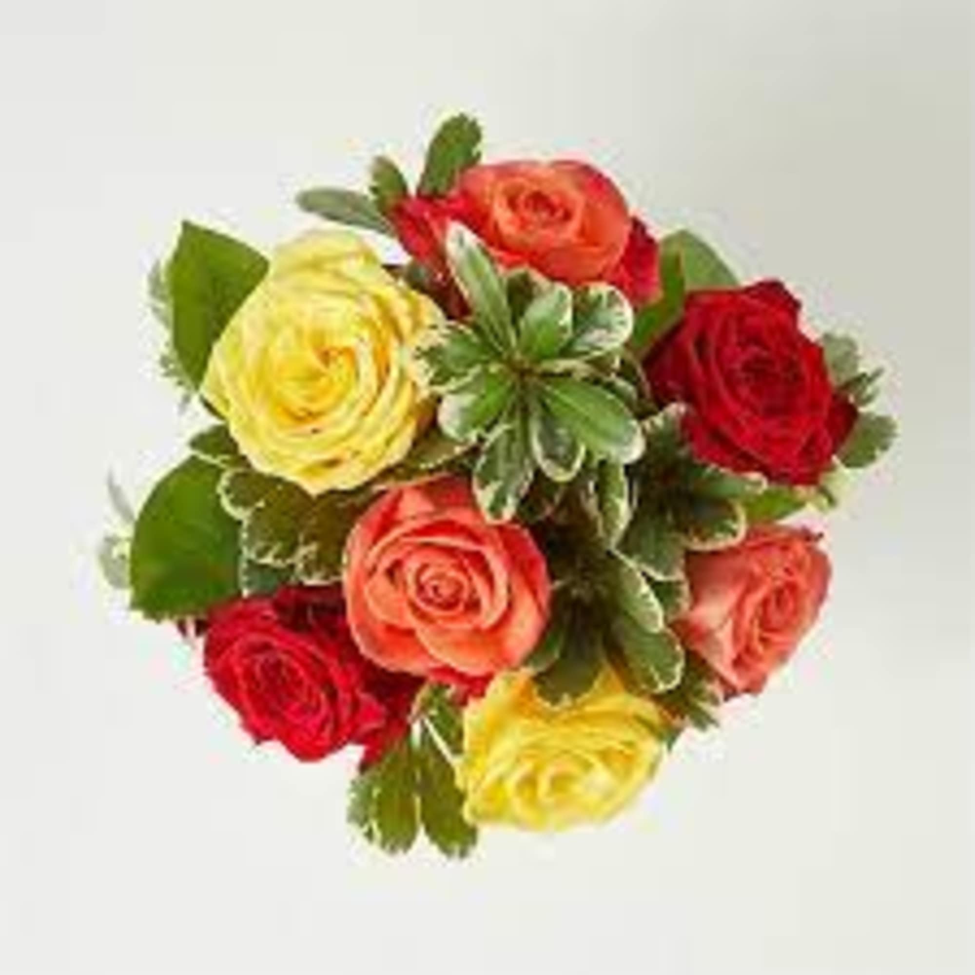 Bouquet of multicolored roses with greenery
