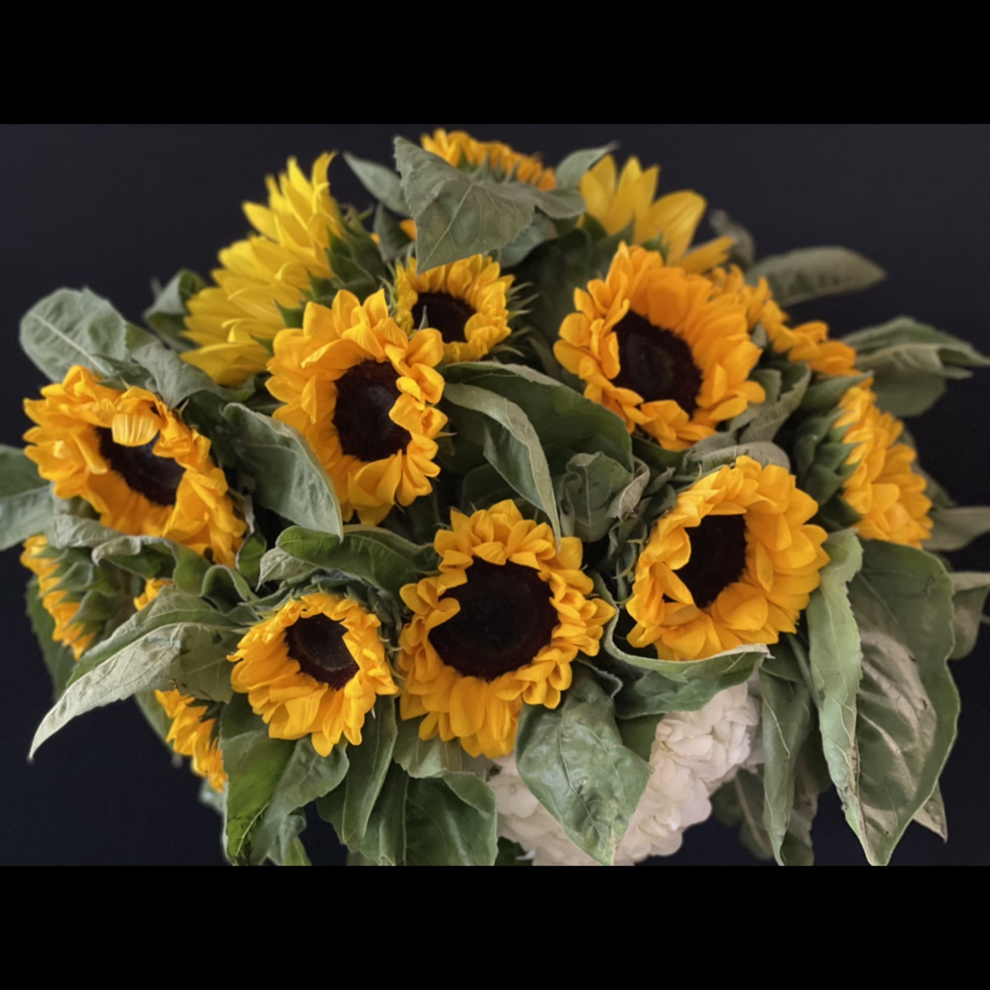 Hydrangeas rurrounded by stunning small, medium and large sunflowers.
 A total of, photo 2 of 3