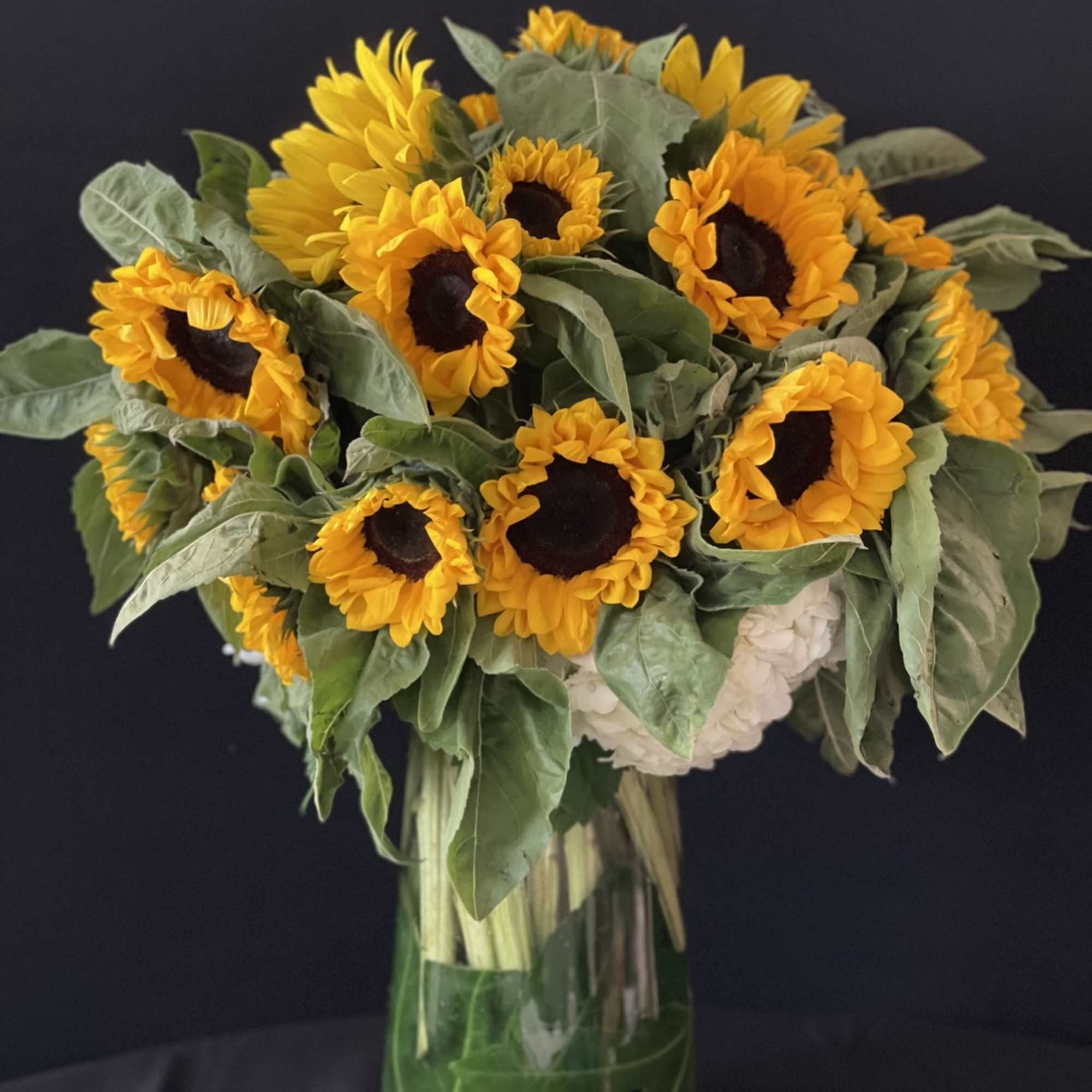 Hydrangeas rurrounded by stunning small, medium and large sunflowers.
 A total of, photo 3 of 3
