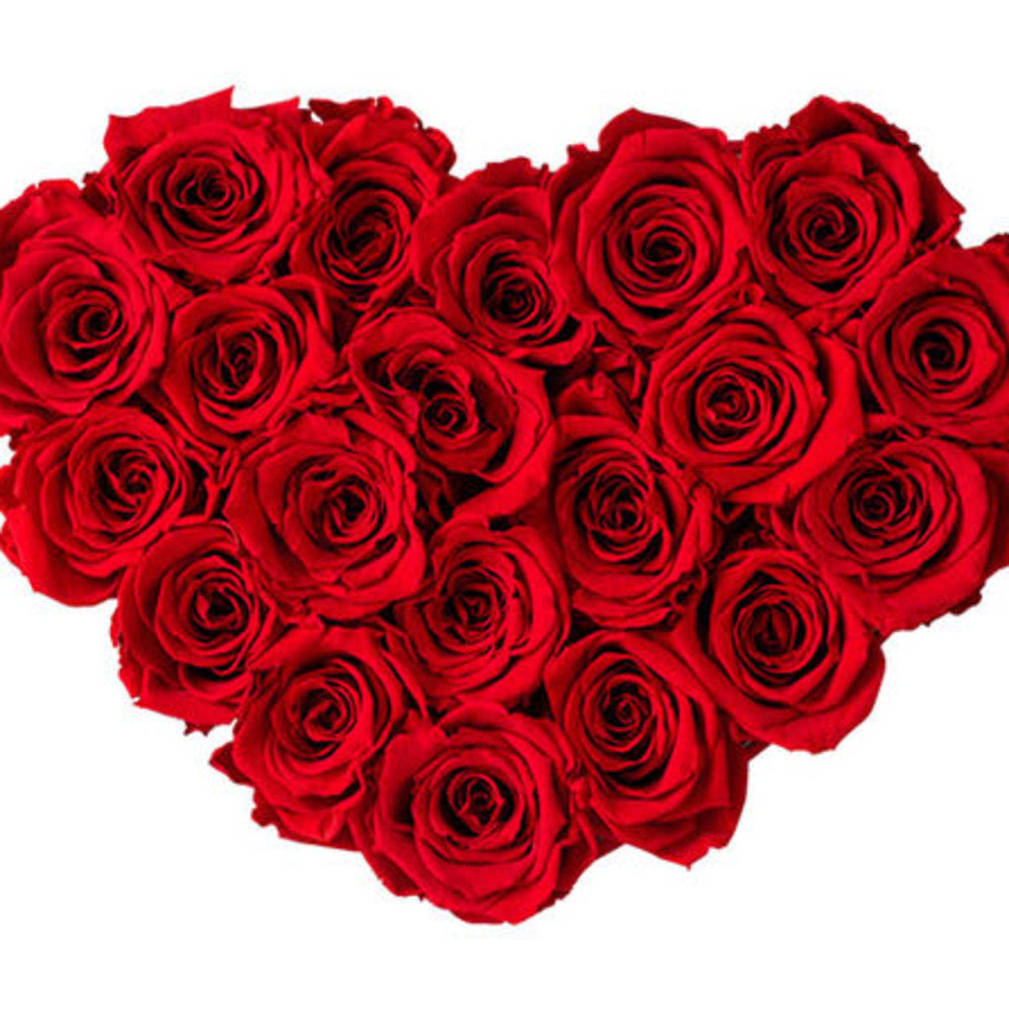 Heart-shaped bouquet of red roses on a white background