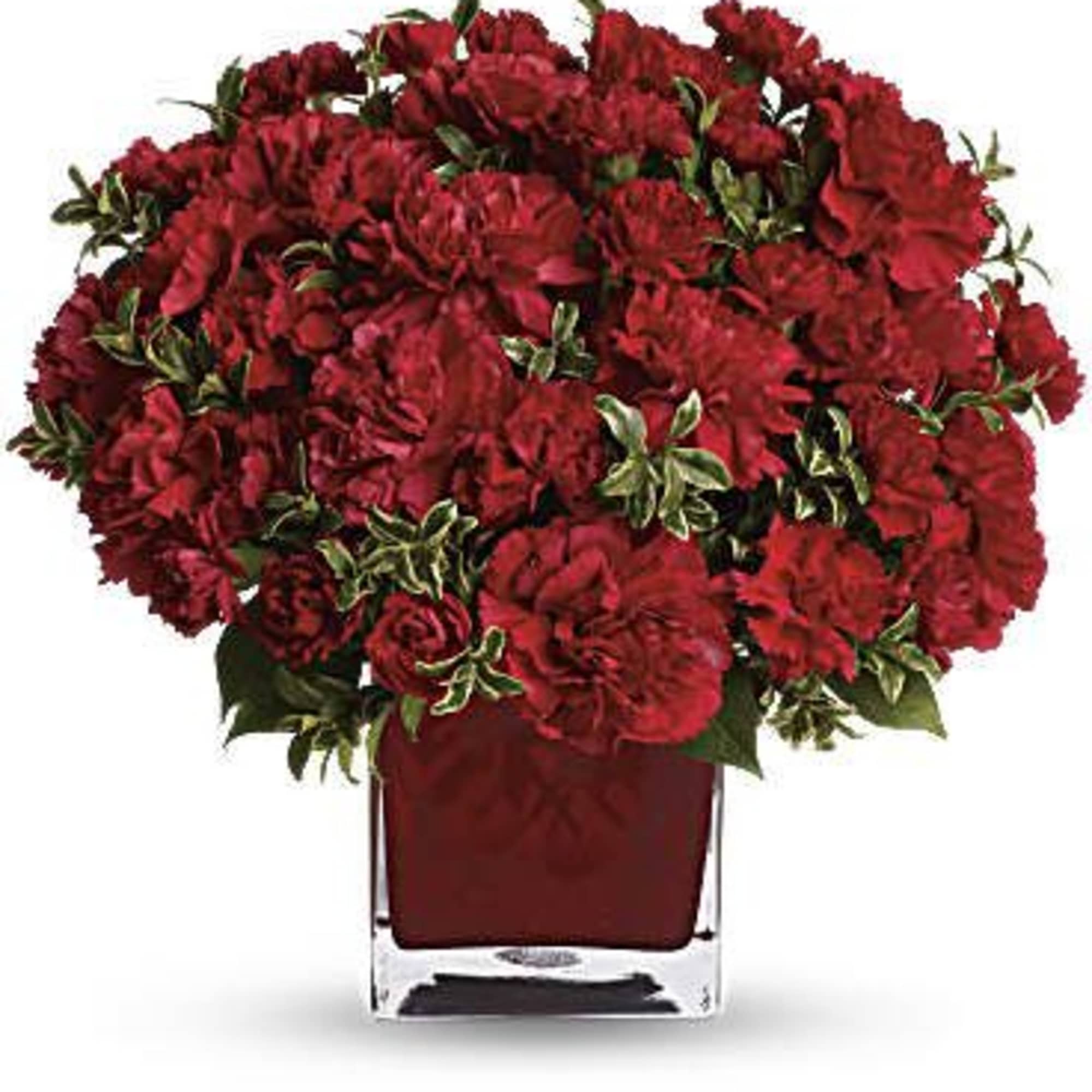 Simply speaking, red means romance. Send this bouquet of vibrant red carnations