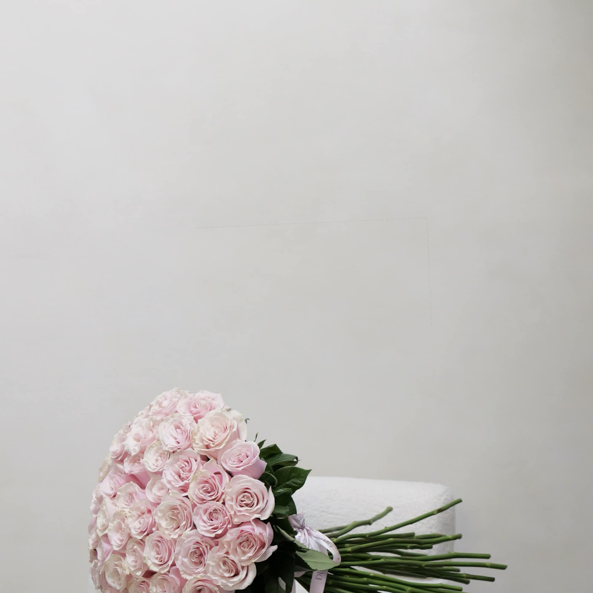 Bouquet of pale pink roses wrapped in white paper
