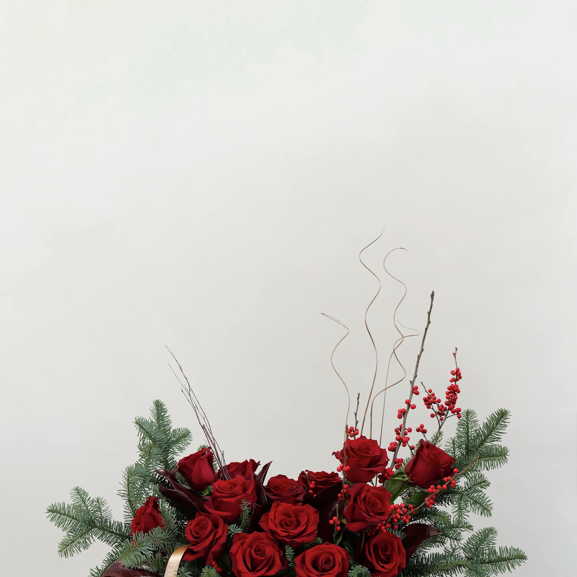 Red roses arranged in a white vase with pine branches and berries