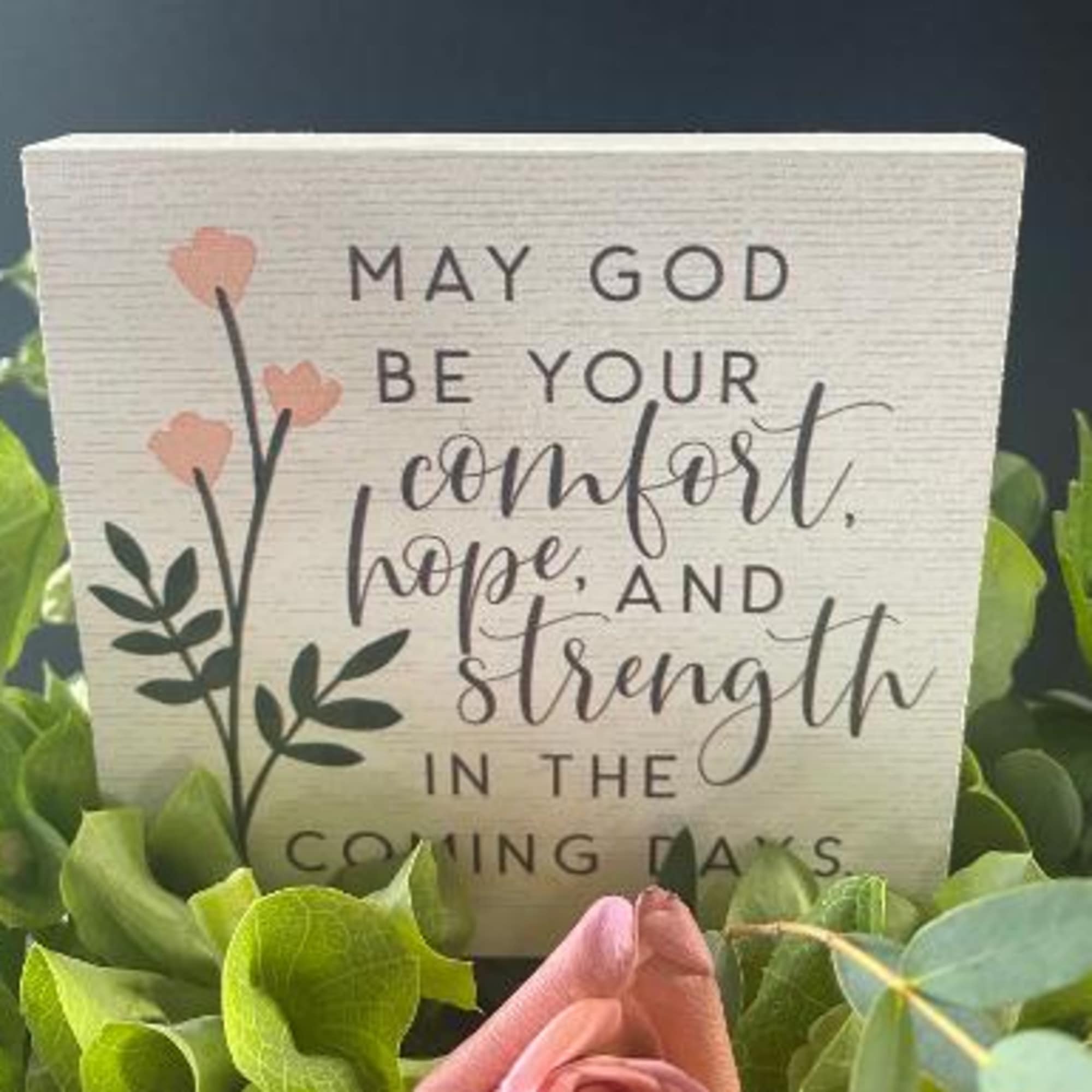 Sympathy sign surrounded by green foliage and a pink rose