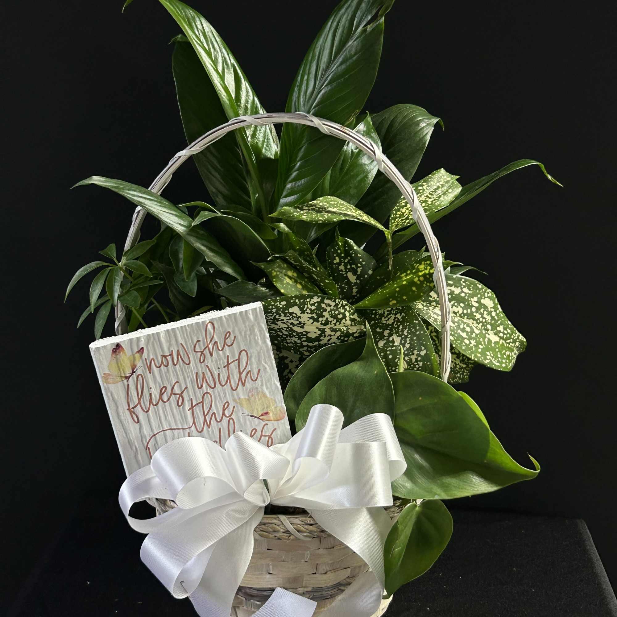 Basket of green houseplants with a white ribbon and a small sign