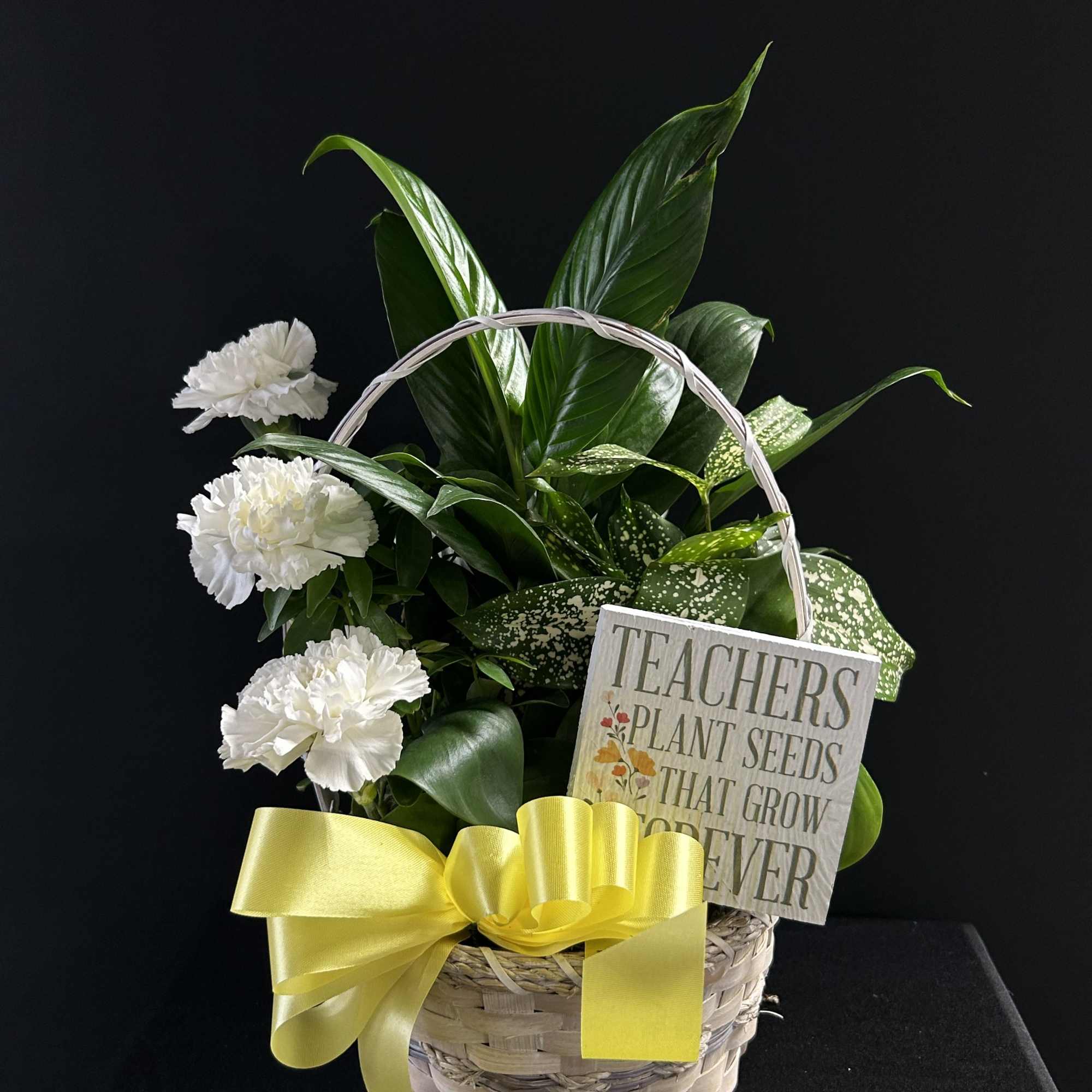 Basket of white carnations and green houseplants with a yellow ribbon