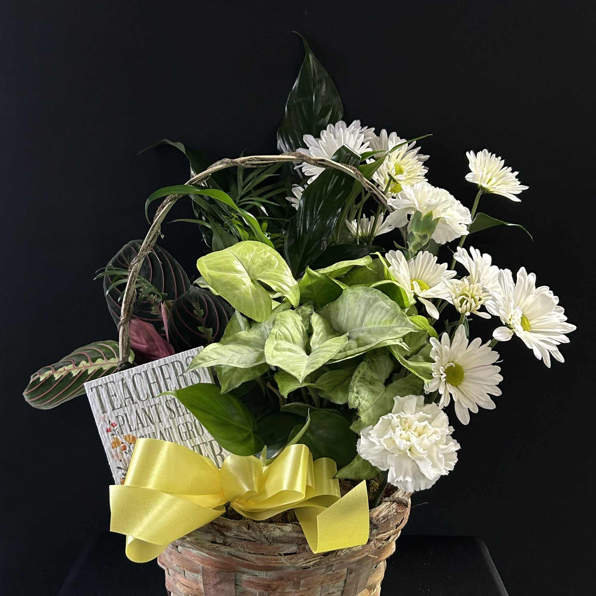 Basket arrangement with white daisies, white carnations, and green foliage