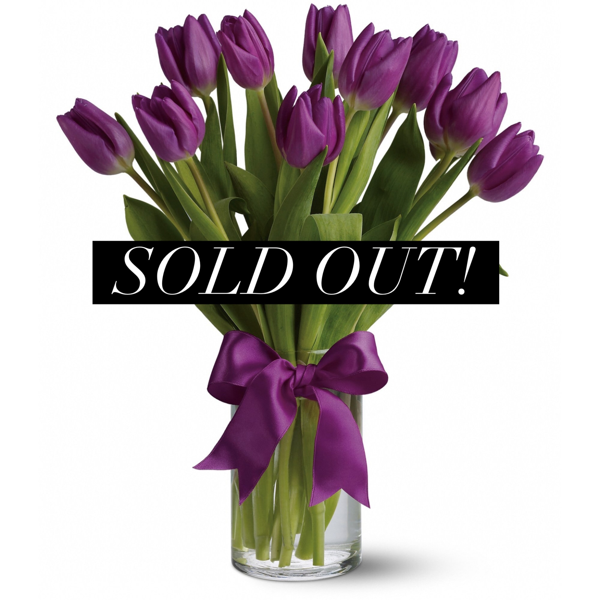 Purple tulips in a clear glass vase with a purple ribbon