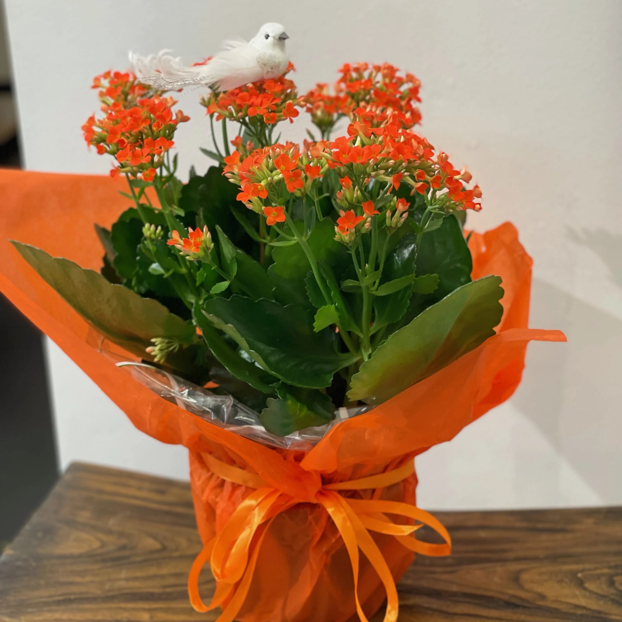 Potted orange flowering plant wrapped in orange paper with a white bird decoration