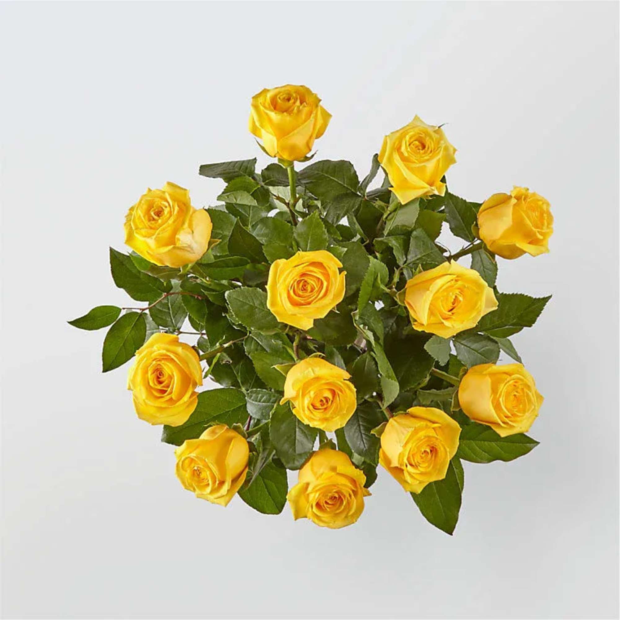 Bouquet of yellow roses with green foliage