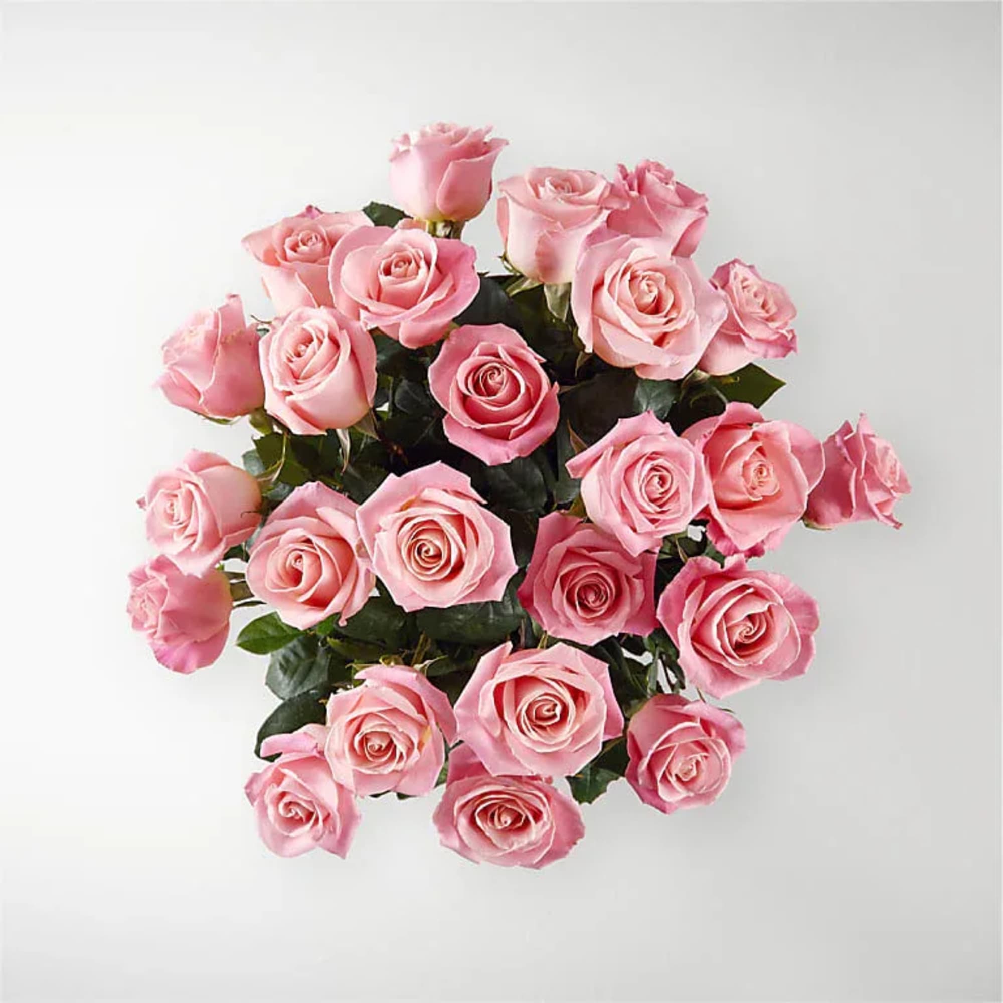 Bouquet of pink roses arranged in a rounded cluster