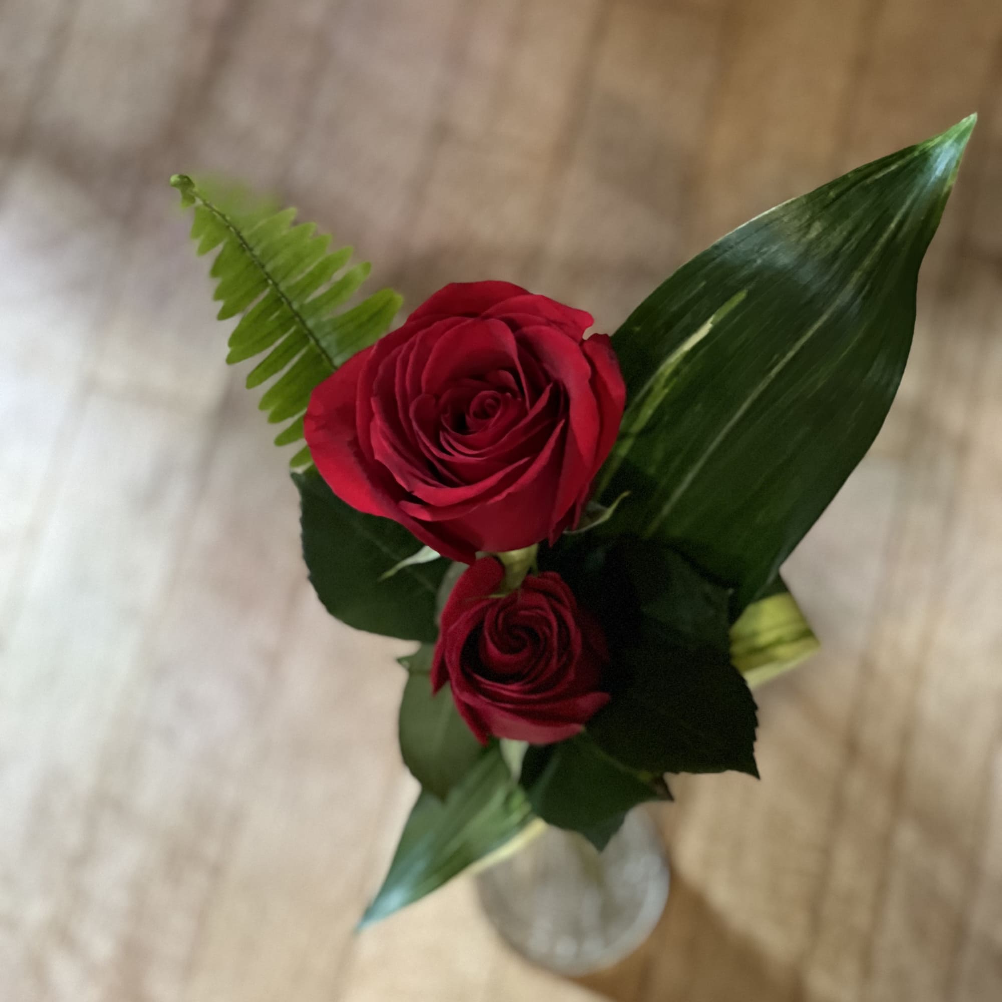 Two red roses with broad green leaves in a small vase