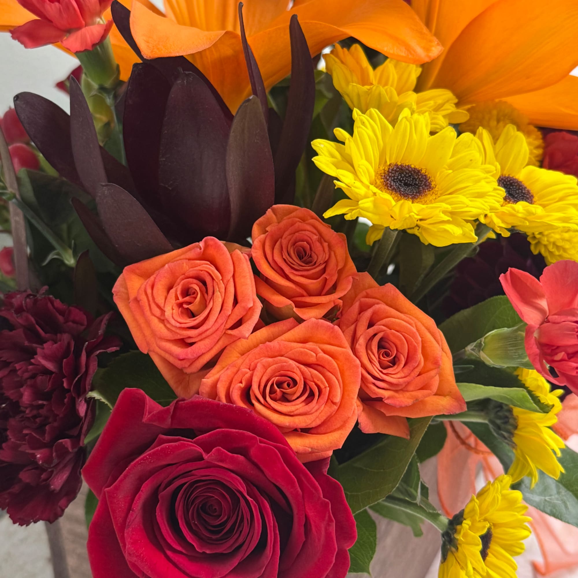 Bouquet of orange and red roses with yellow daisies and dark burgundy blooms