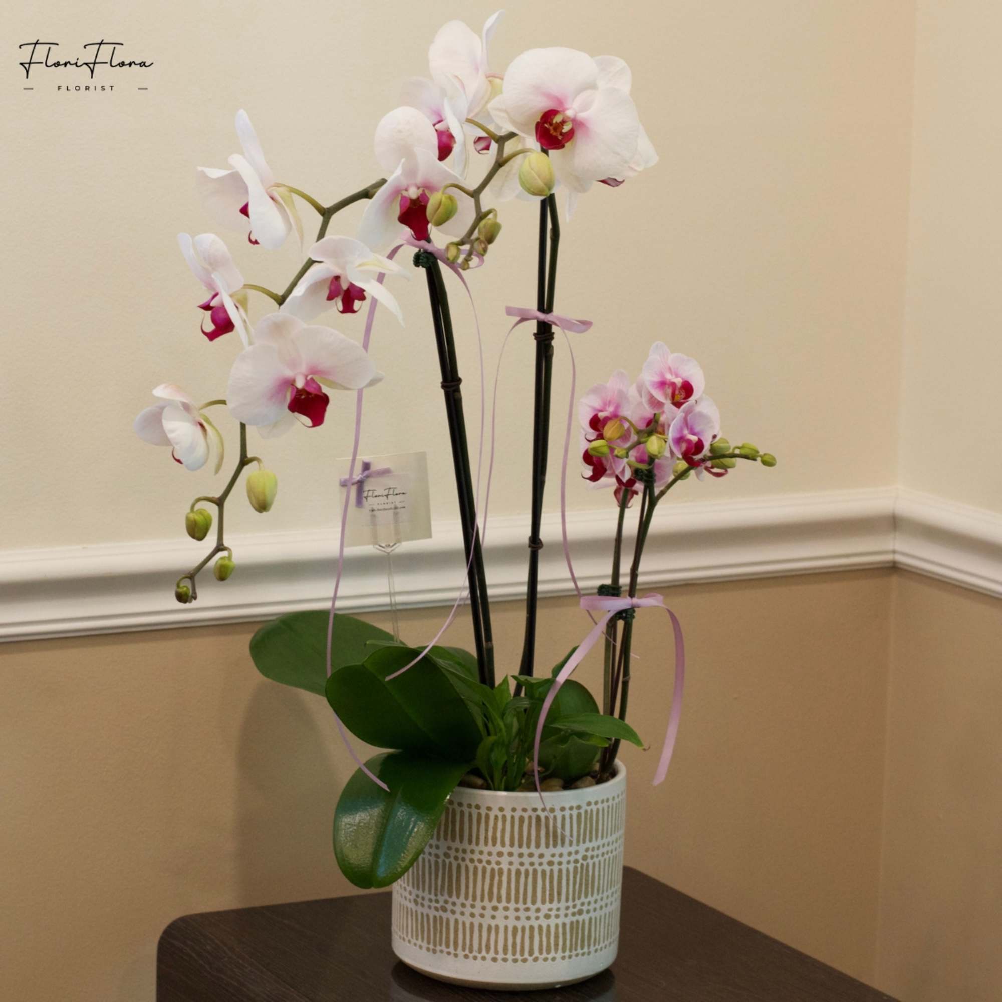 White and pink orchids in a patterned ceramic pot
