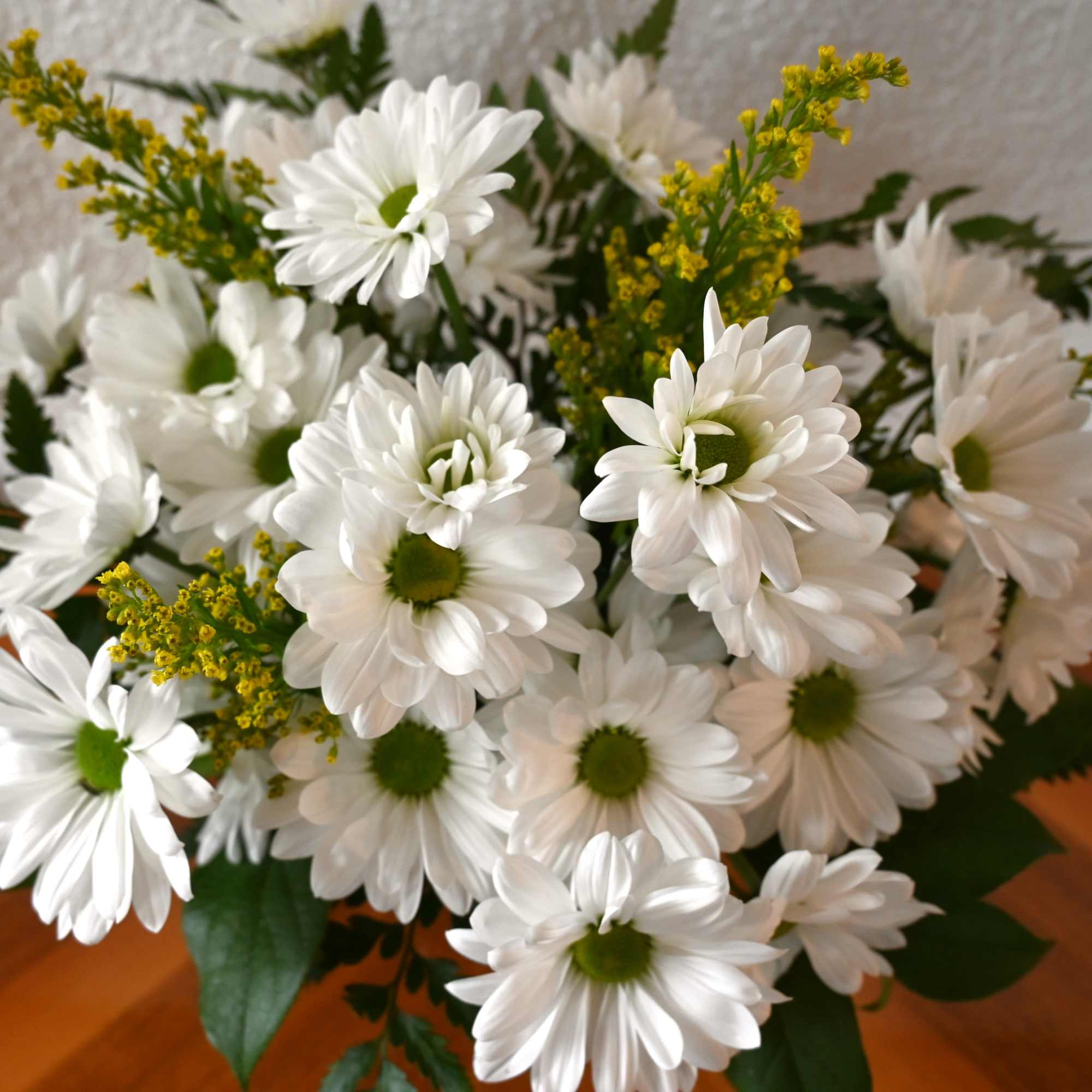 Bouquet of white daisies with yellow accents arranged in a compact cluster