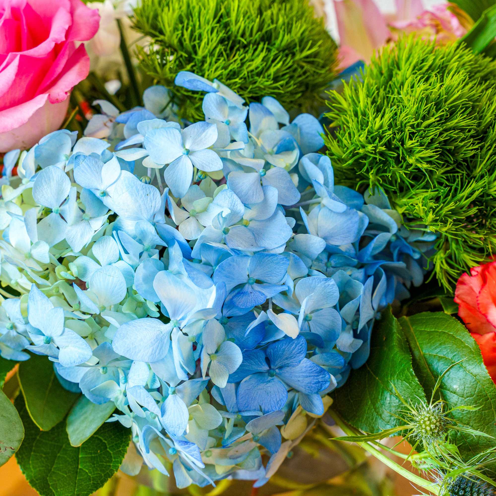 Delight them with this wonderful assortment of colorful blooms. Perfect for corporate, photo 2 of 3