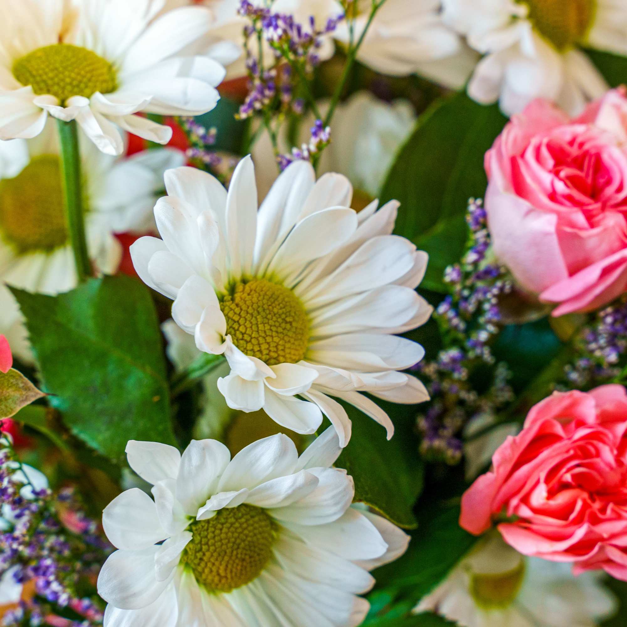 Dazzle the little doll in your world! This pretty little arrangement is, photo 2 of 2