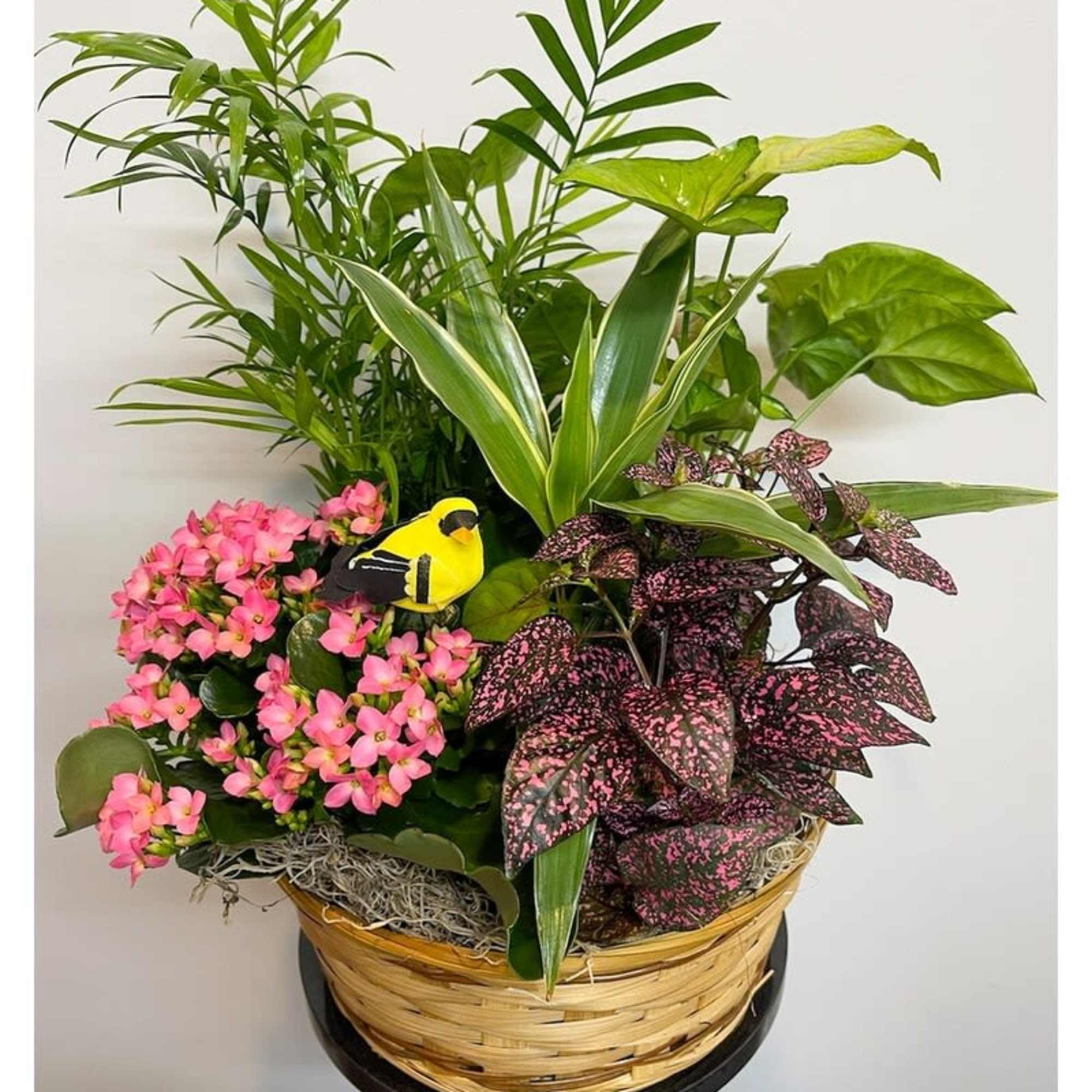 Basket of pink flowers and assorted green houseplants