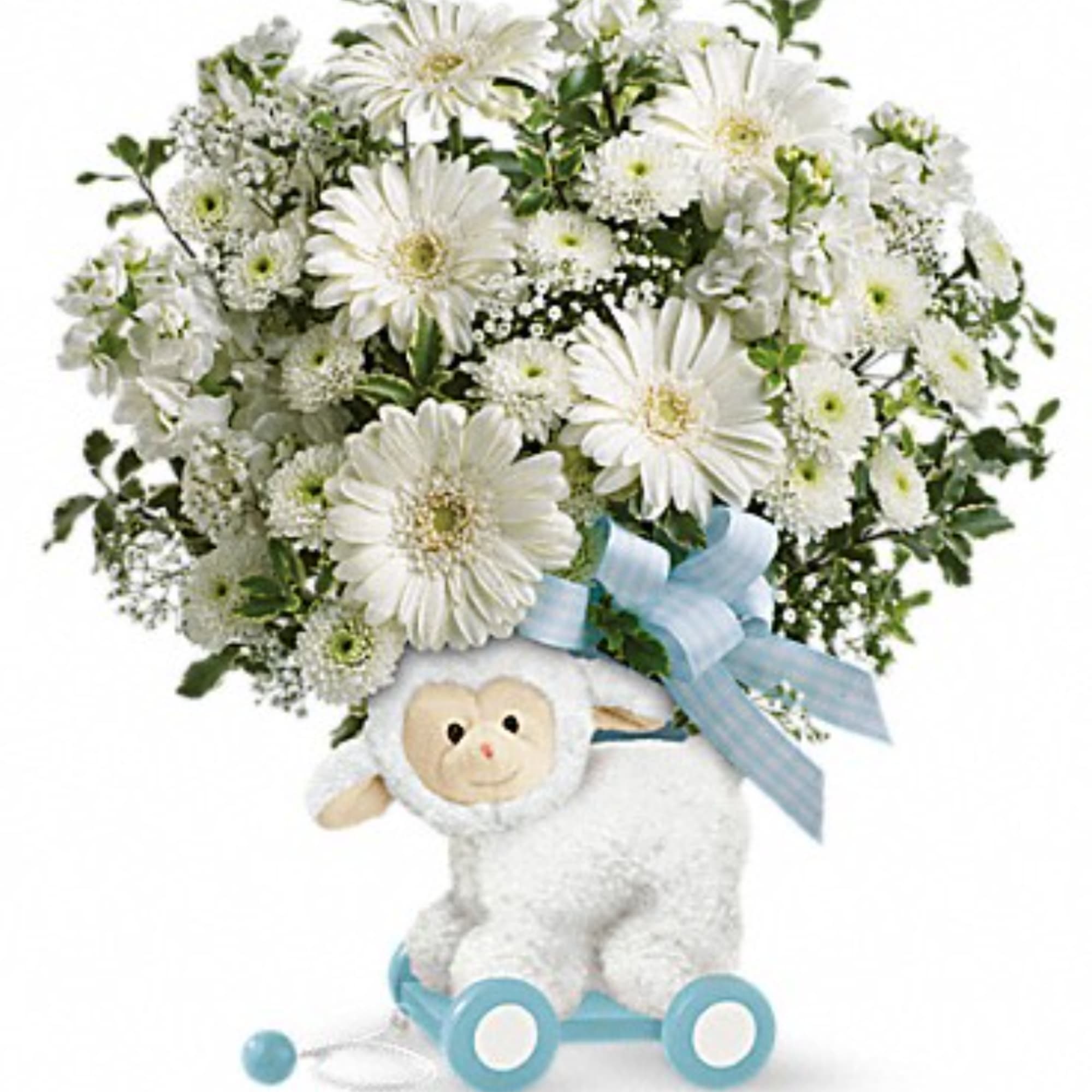 White daisy bouquet in a plush lamb wagon with a blue ribbon