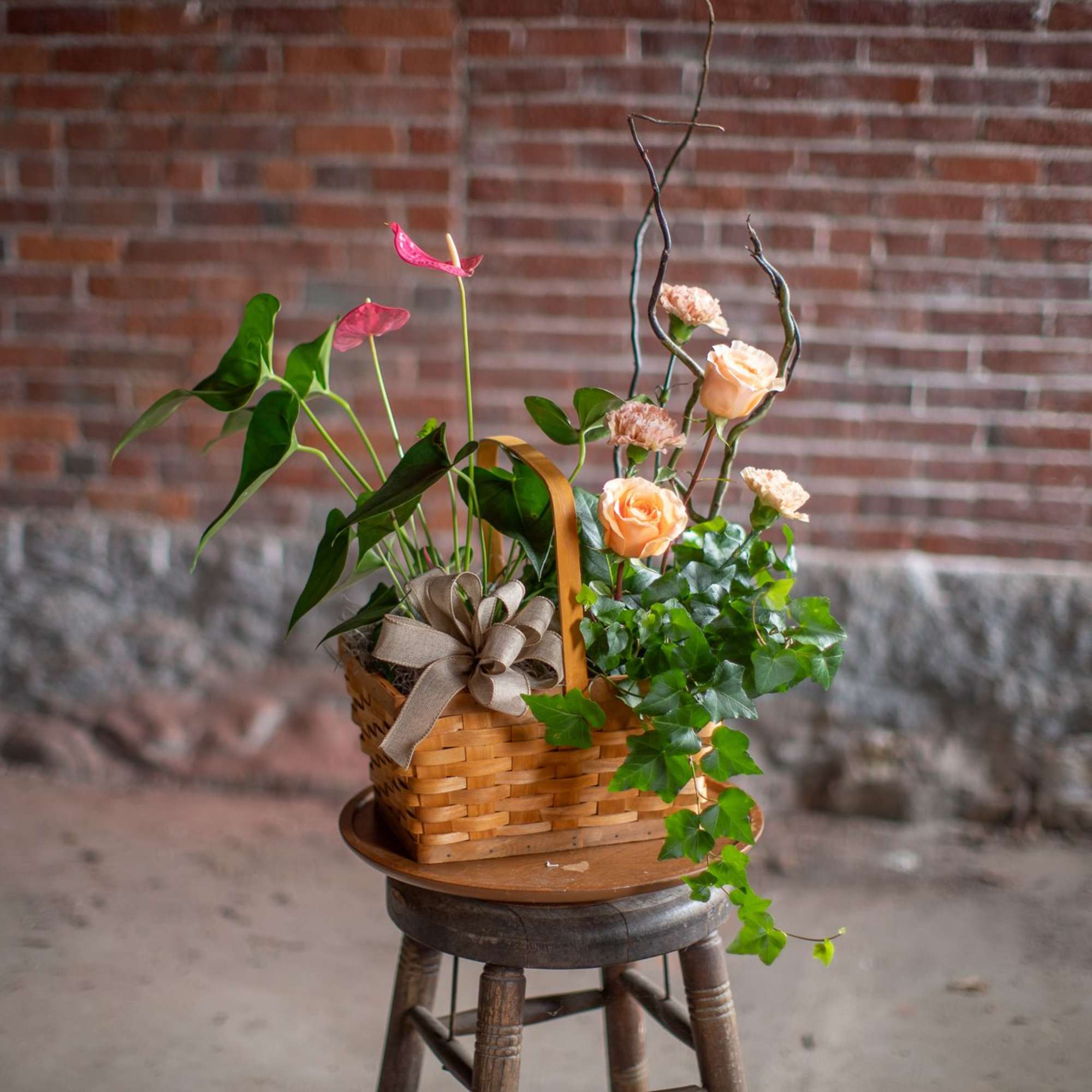 A stunning tropical anthurium, also known as laceleaf paired with a flowing, photo 2 of 2