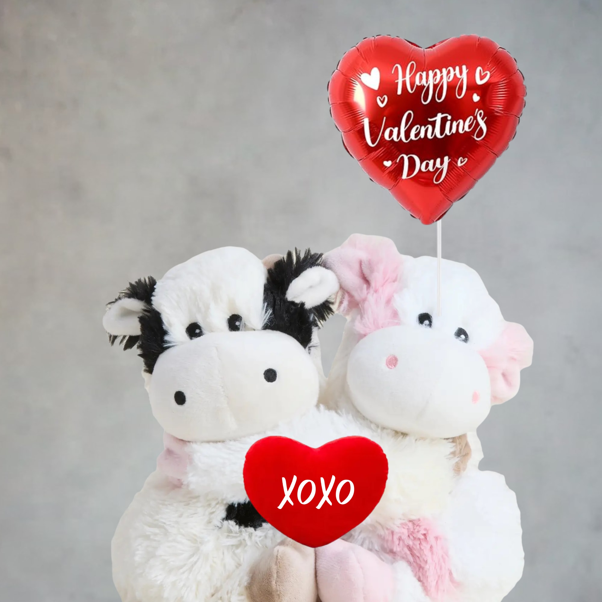 Two plush cows holding heart balloons with Valentine messages