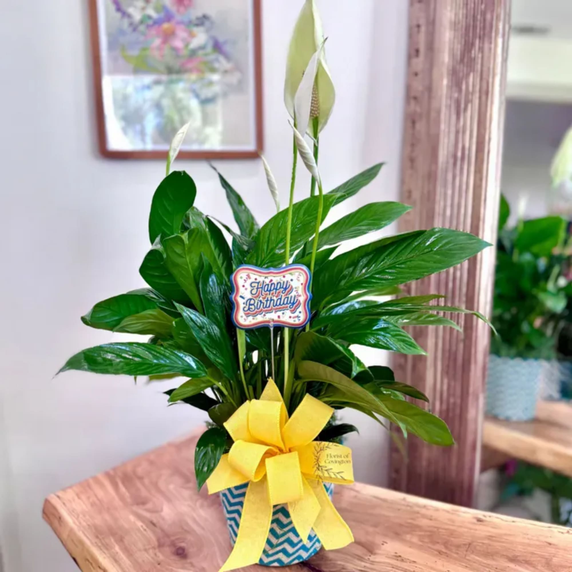 Potted peace lily with white blooms, a birthday sign, and a yellow bow