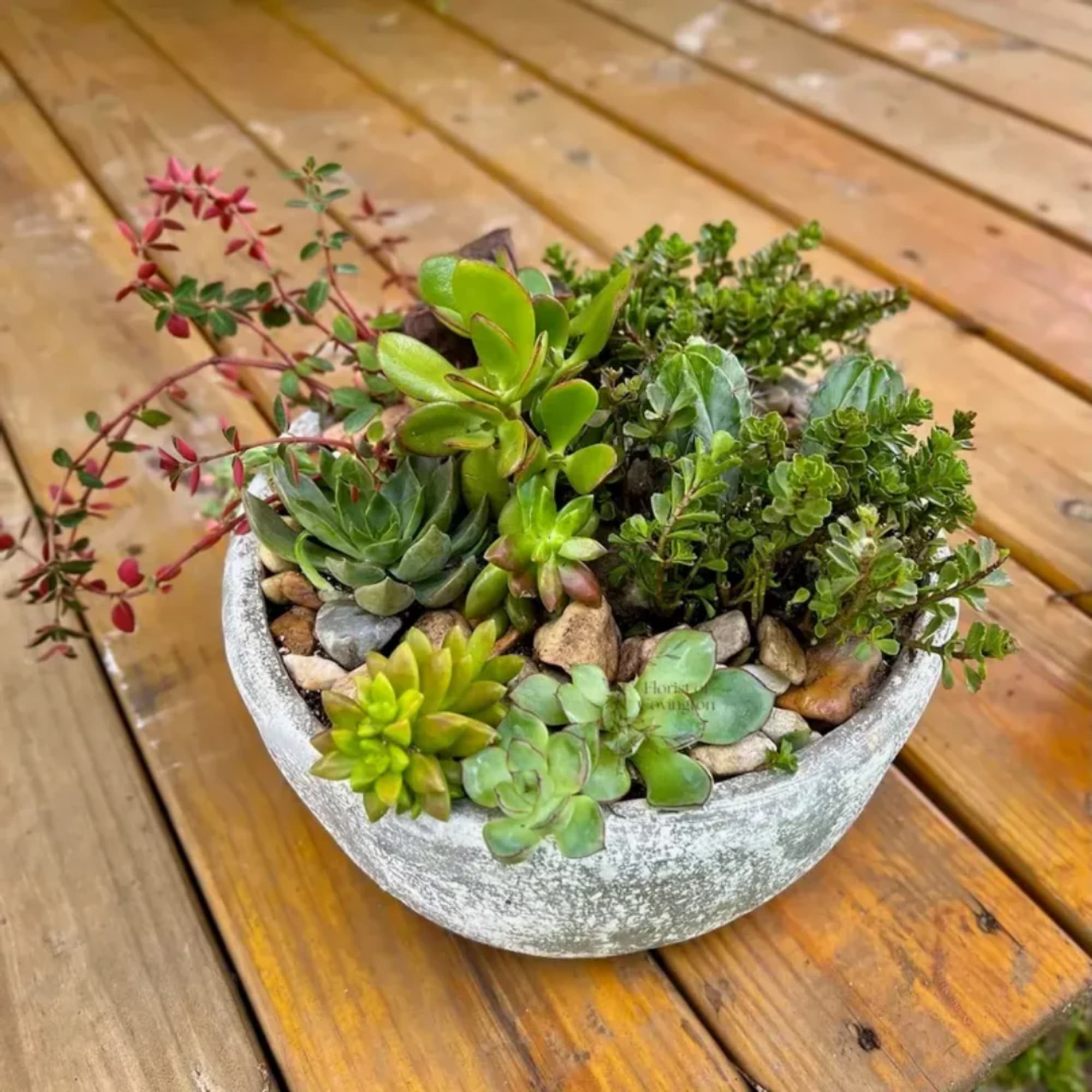 Succulent arrangement in a round gray bowl on a wooden table