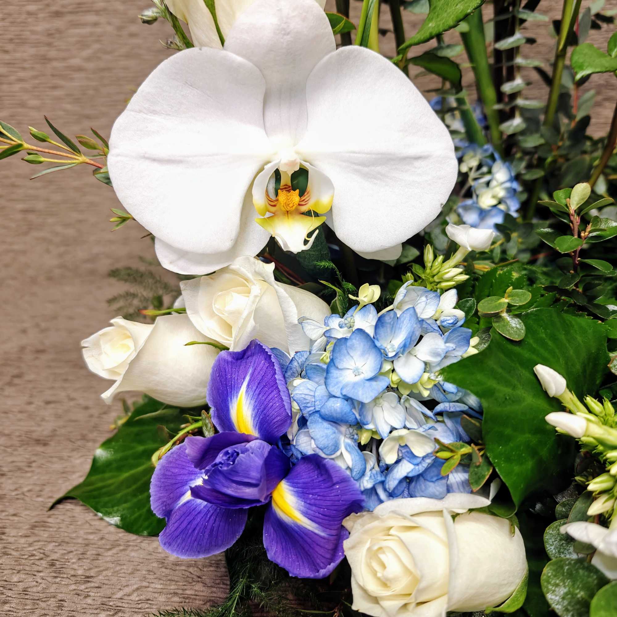Arrangement of white orchid, white roses, blue hydrangea, and purple iris flowers clustered together